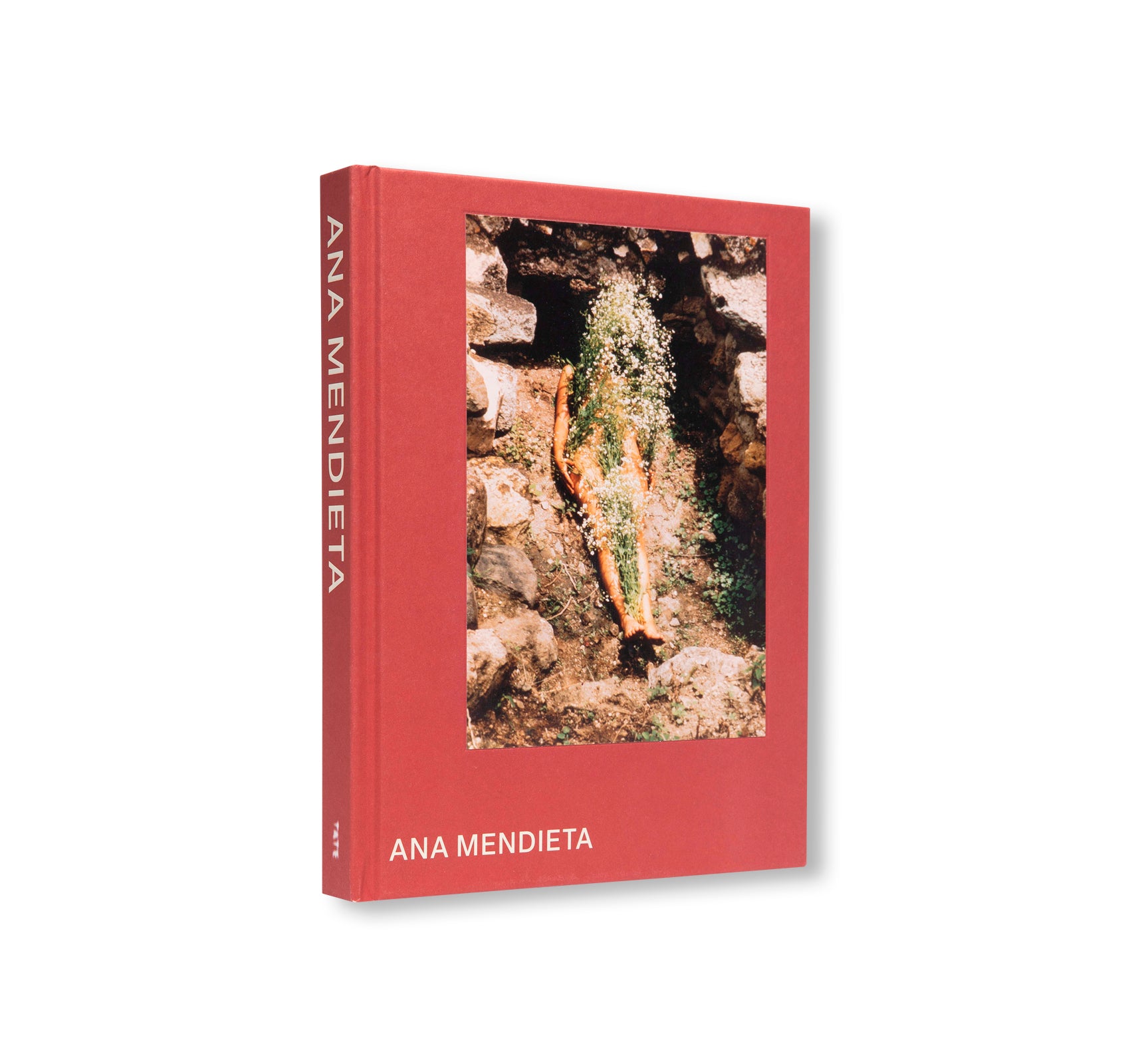 ANA MENDIETA by Ana Mendieta (TATE PUBLISHING)