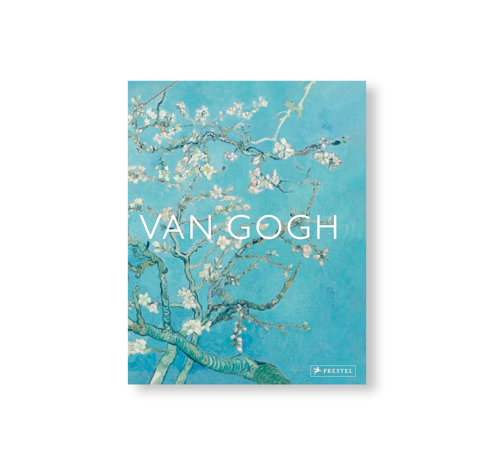 VAN GOGH - THE BIGGER PICTURE by Anne Sefrioui