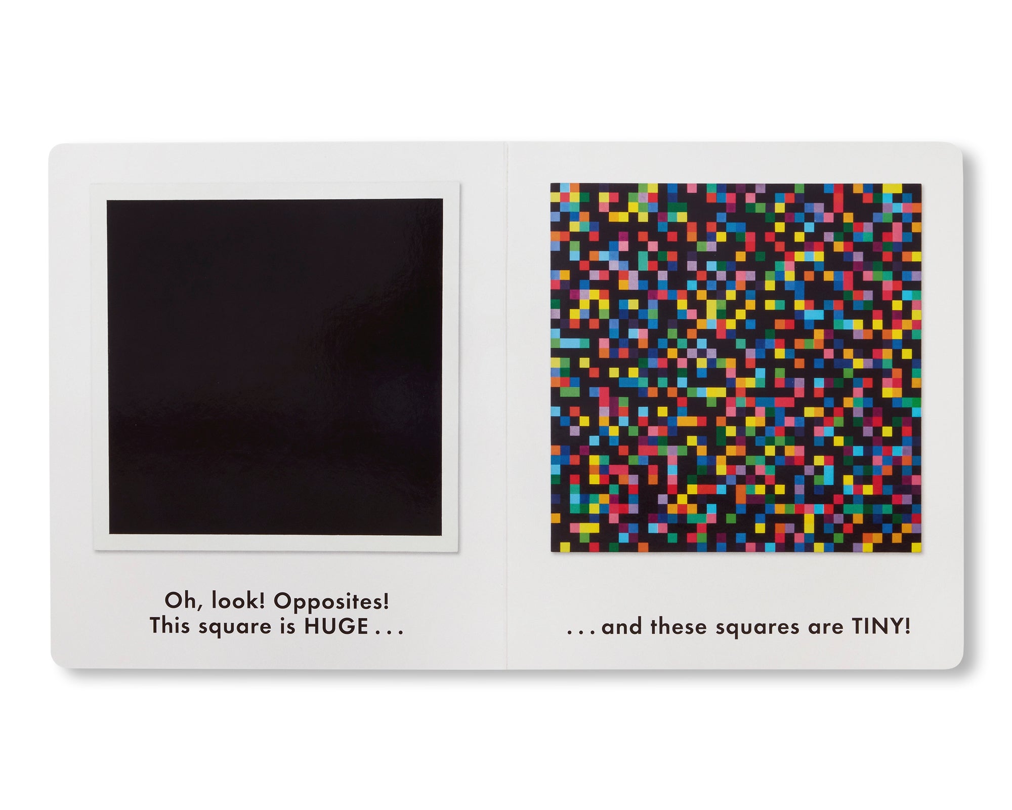 UP, DOWN & OTHER OPPOSITES: WITH ELLSWORTH KELLY by Ellsworth Kelly