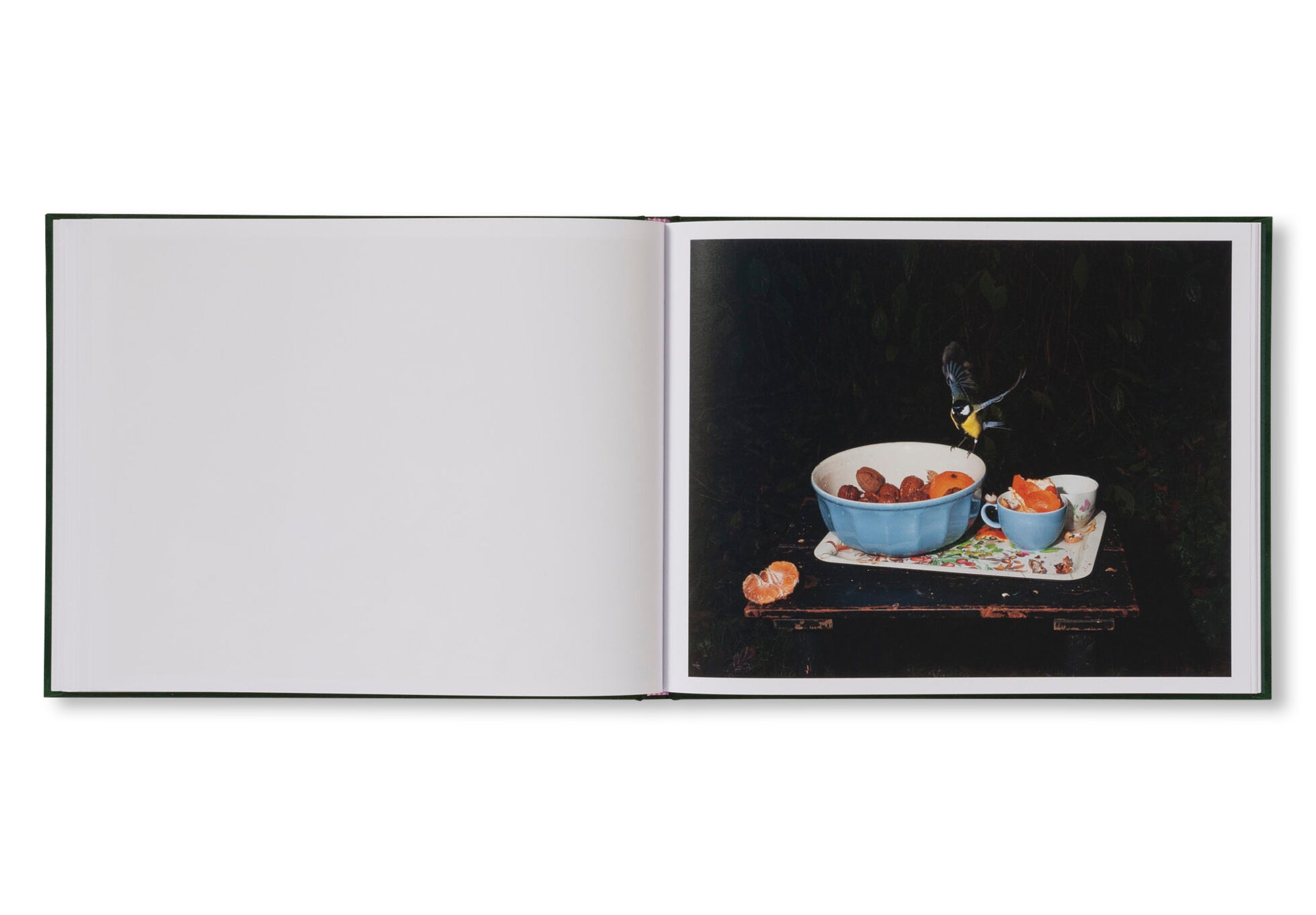 PLATES I-XXXI by Lia Darjes