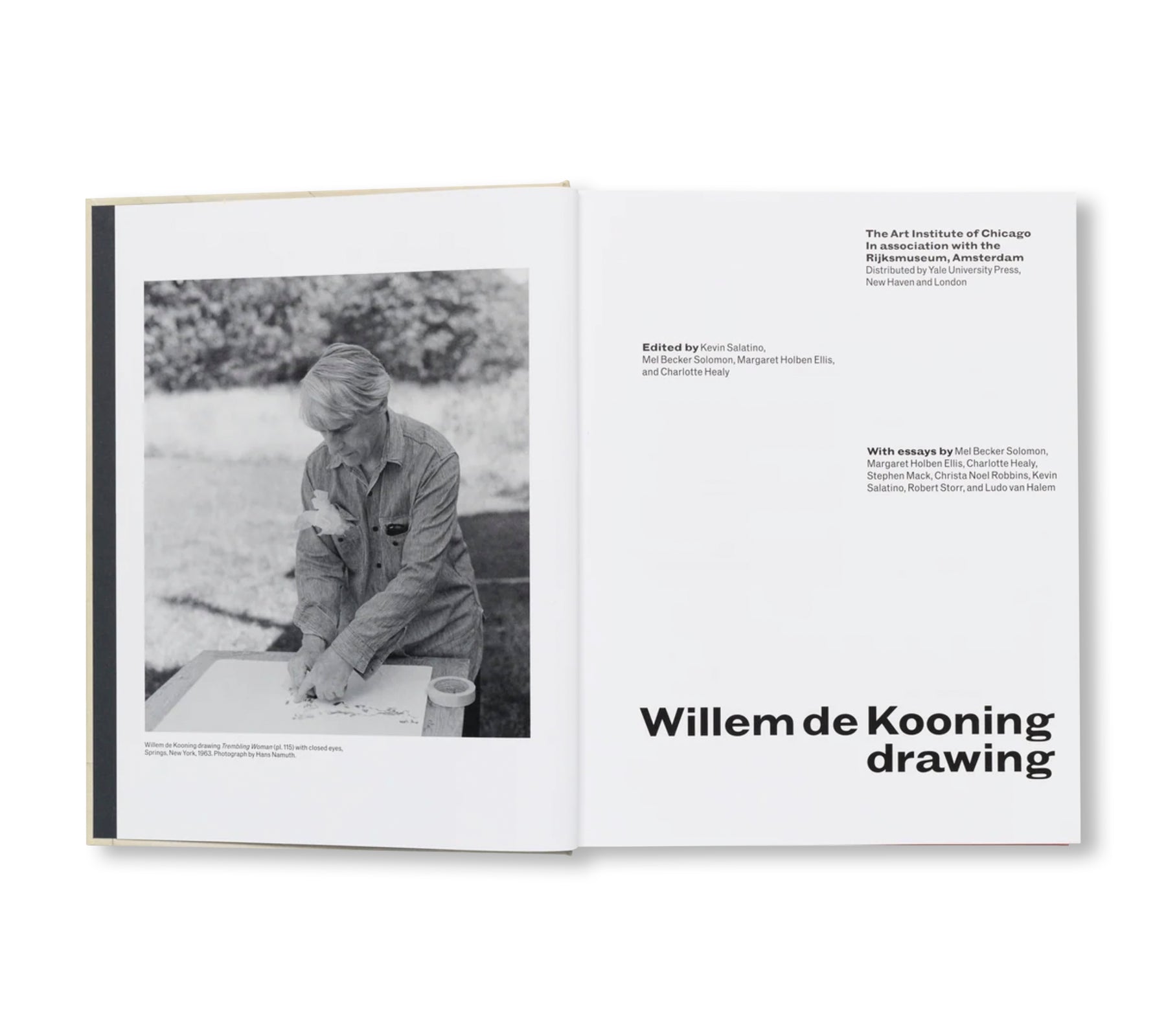 WILLEM DE KOONING DRAWING by Willem de Kooning
