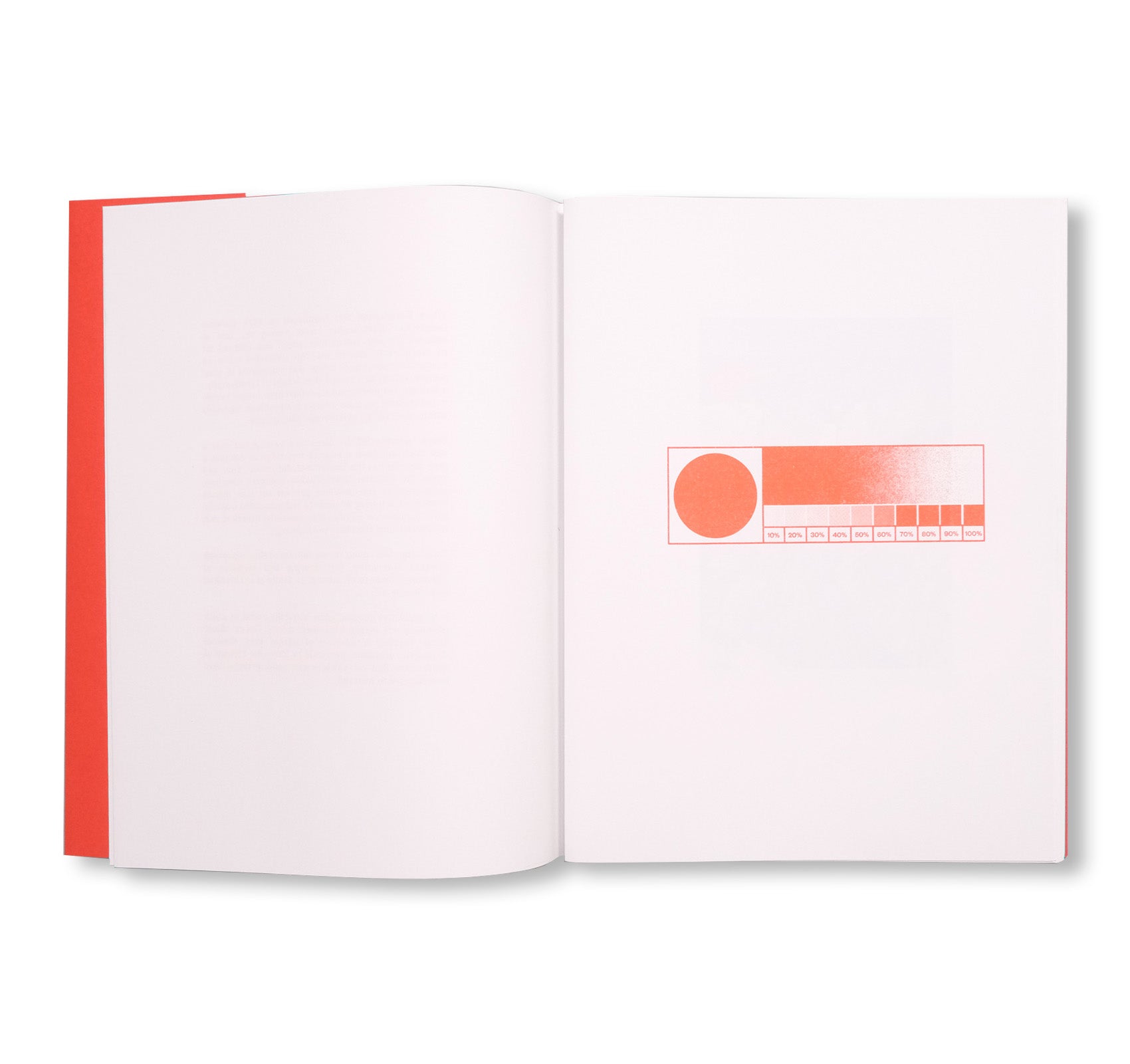 COLOUR THEORY by Max Pinckers & Victoria Gonzalez-Figueras [SIGNED]