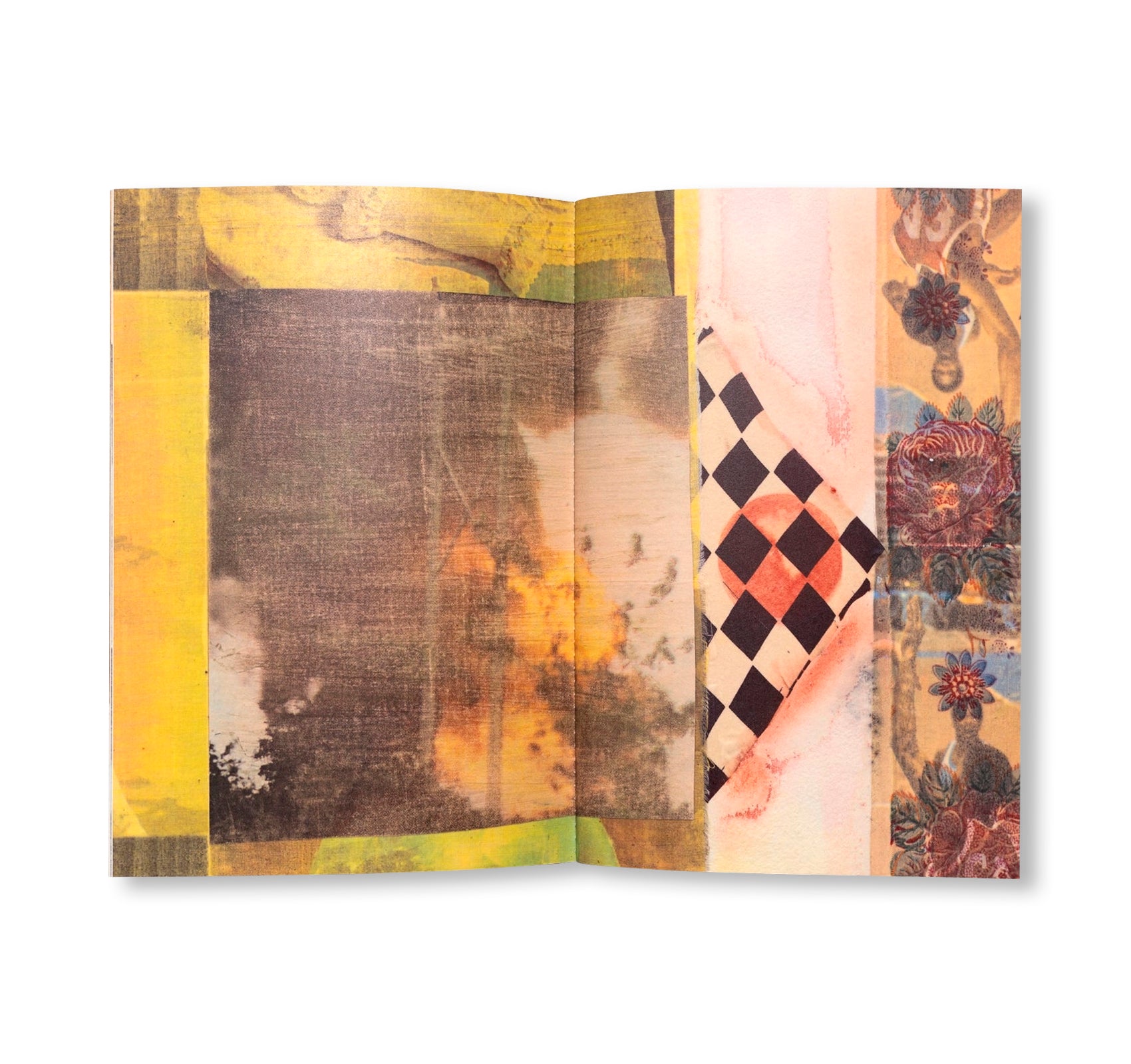 ARCANUM I-XIII by Robert Rauschenberg