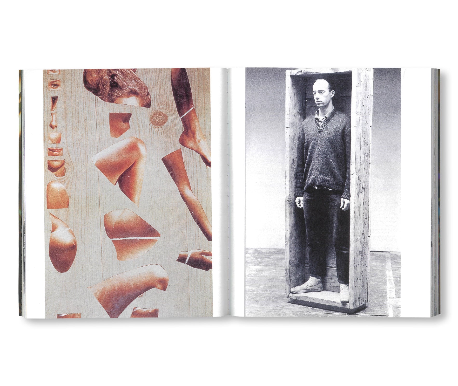 LUPETTO, PILOT ISSUE by Maurizio Cattelan
