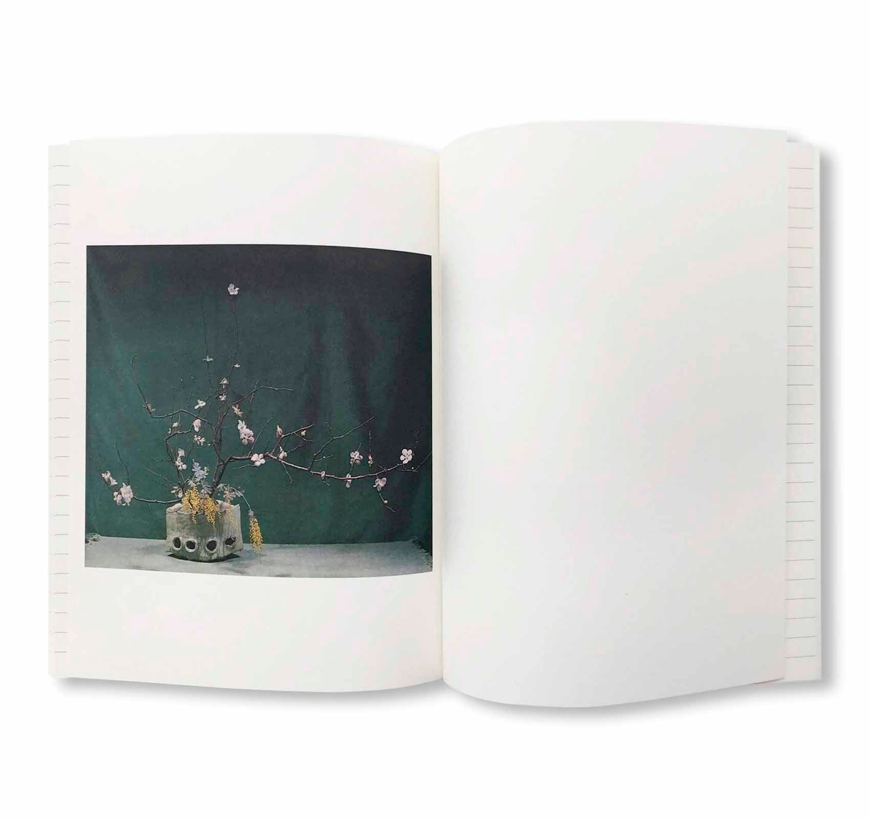 IKEBANA IDEA BOOK by Shozo Sato