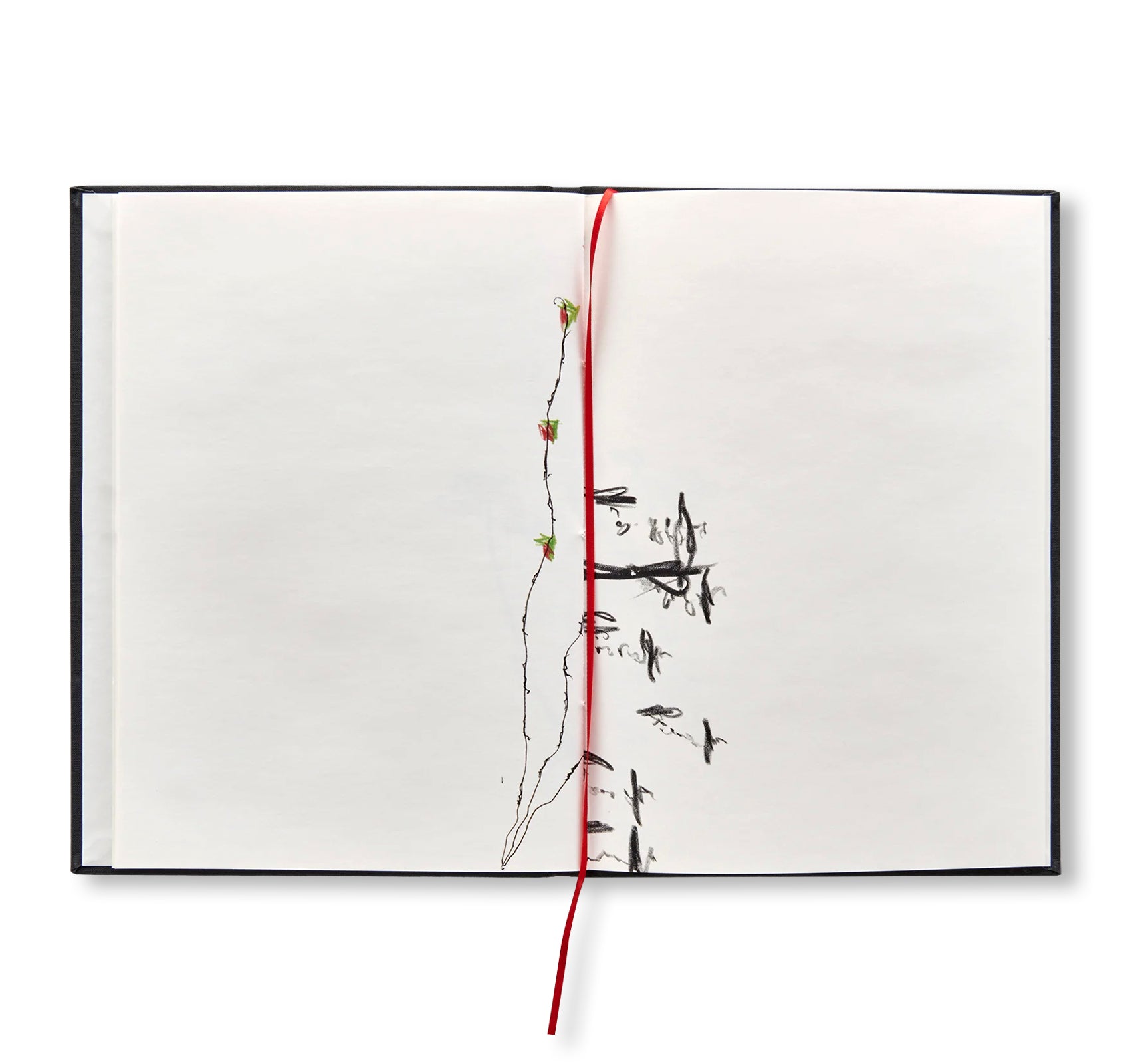 A DRAWING BOOK.... by Richard Tuttle