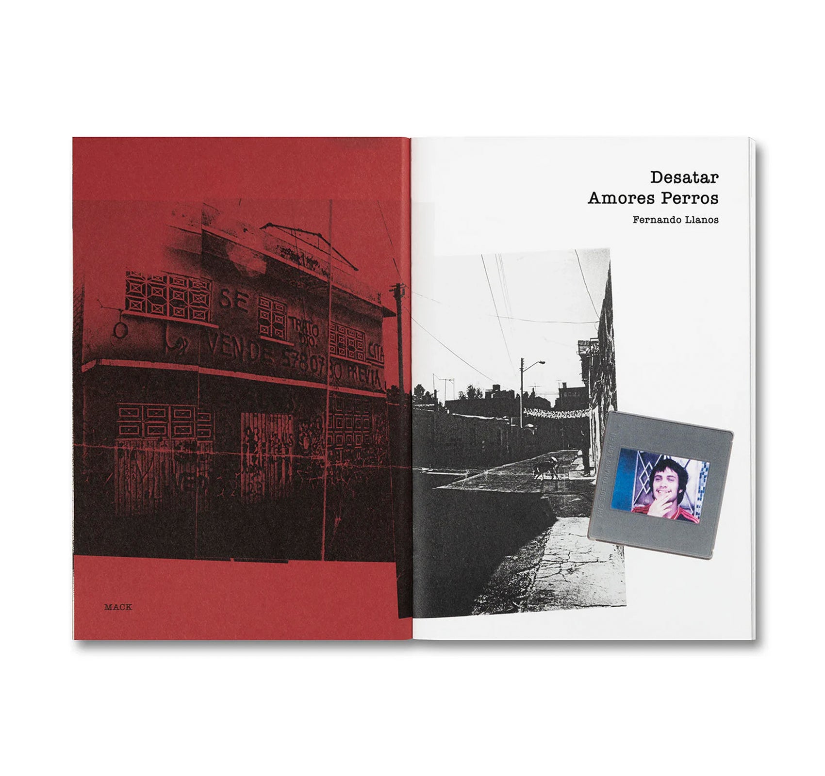 DESATAR AMORES PERROS by Fernando Llanos [SPANISH EDITION]