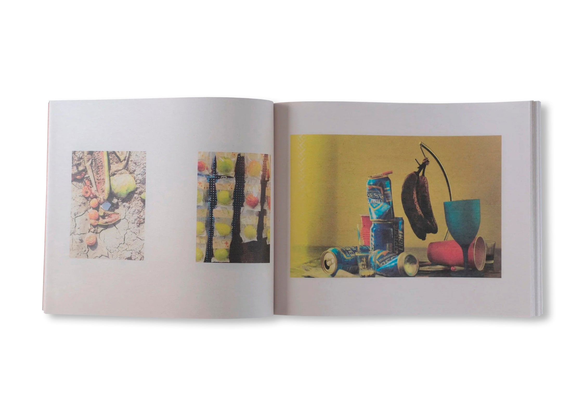 WALDEN; OR, LIFE IN THE WOODS, ARCHIVE 1993-2024, VOL. 2 by Peter Funch