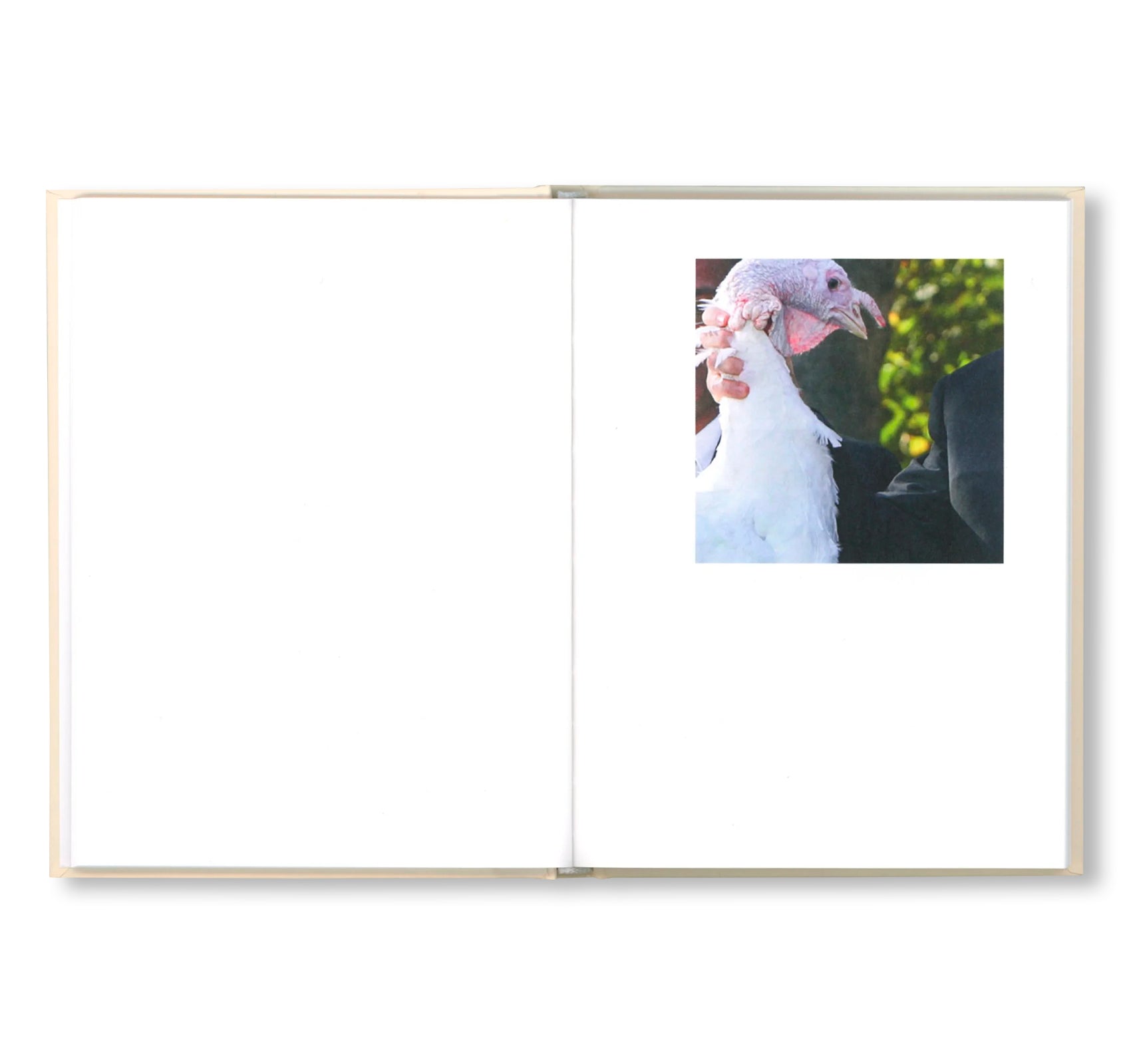 PARDON ME by Gardar Eide Einarsson