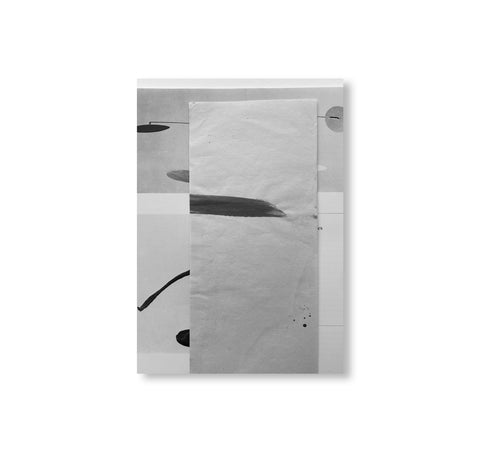 A CONGREGATION OF CLOUDS - N° 1 INHALT by Rosemarie Auberson [INDIVIDUAL ZINES]