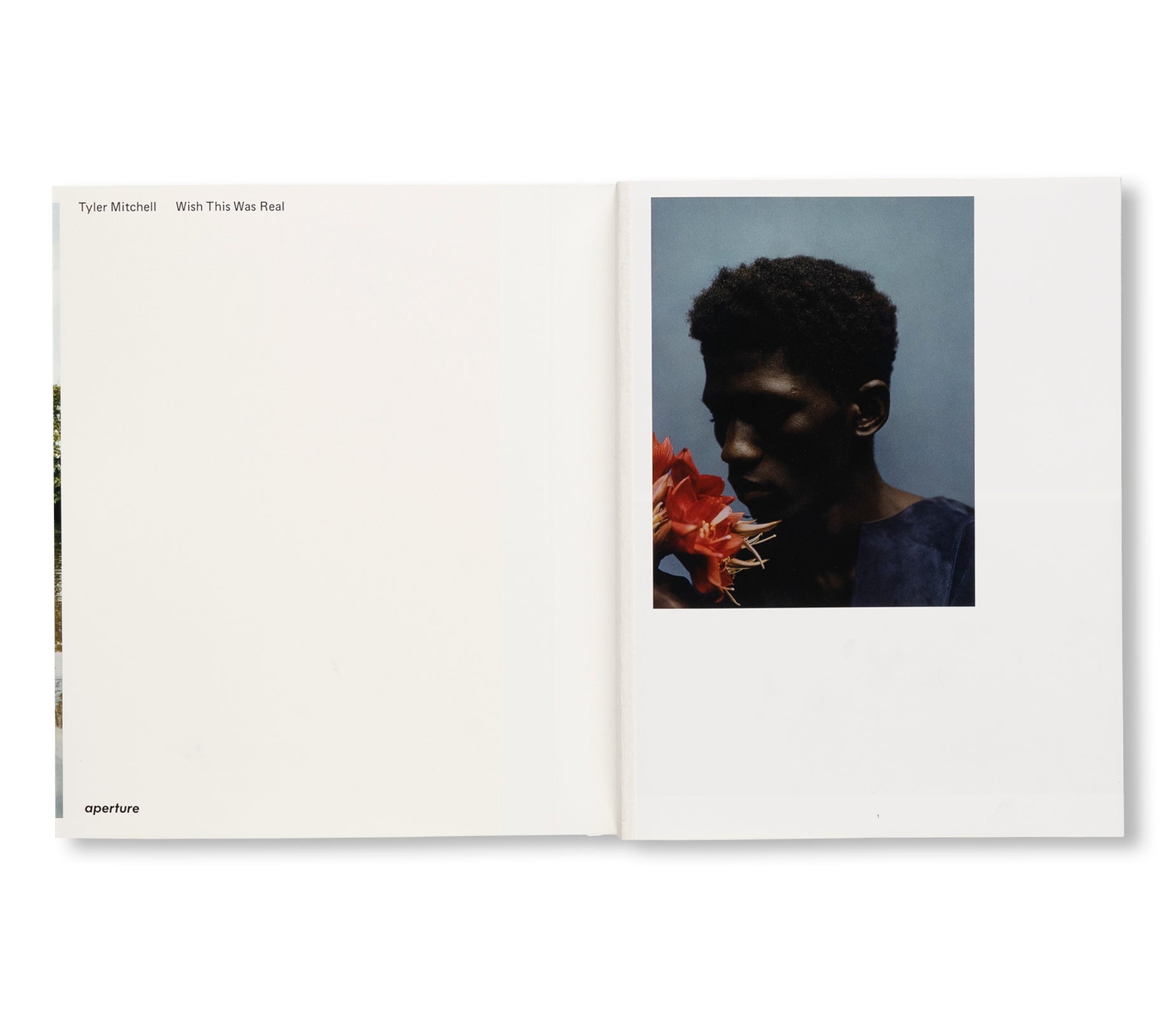 WISH THIS WAS REAL by Tyler Mitchell