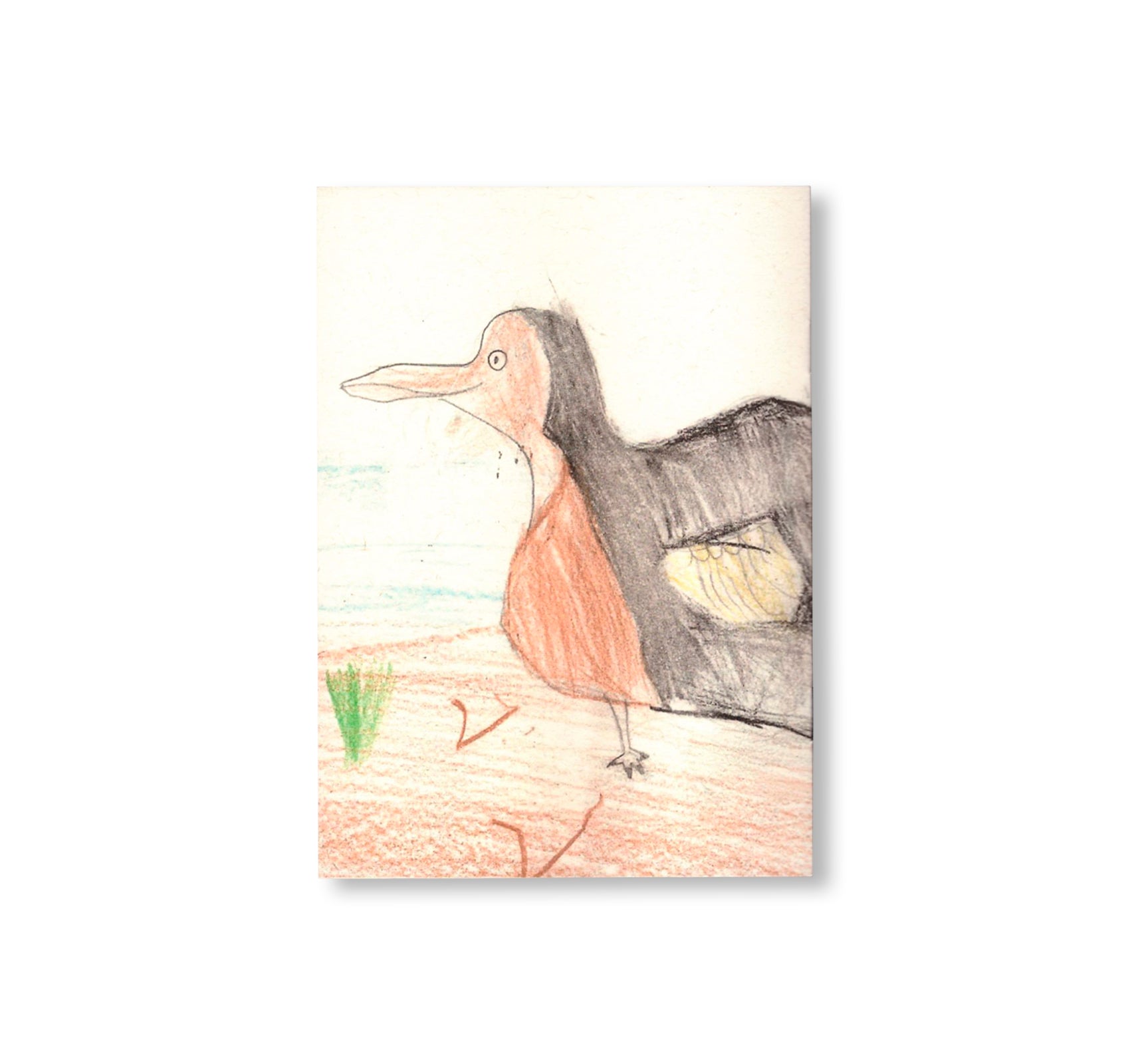 DODO NOTEBOOKS