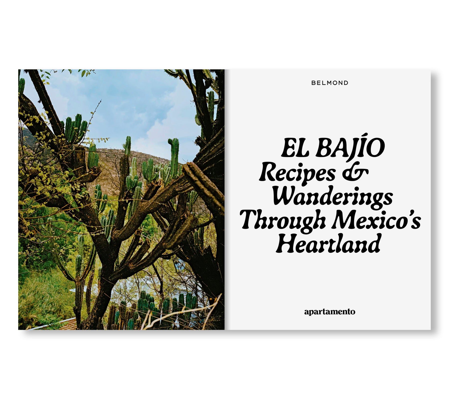 EL BAJÍO: RECIPES & WANDERINGS