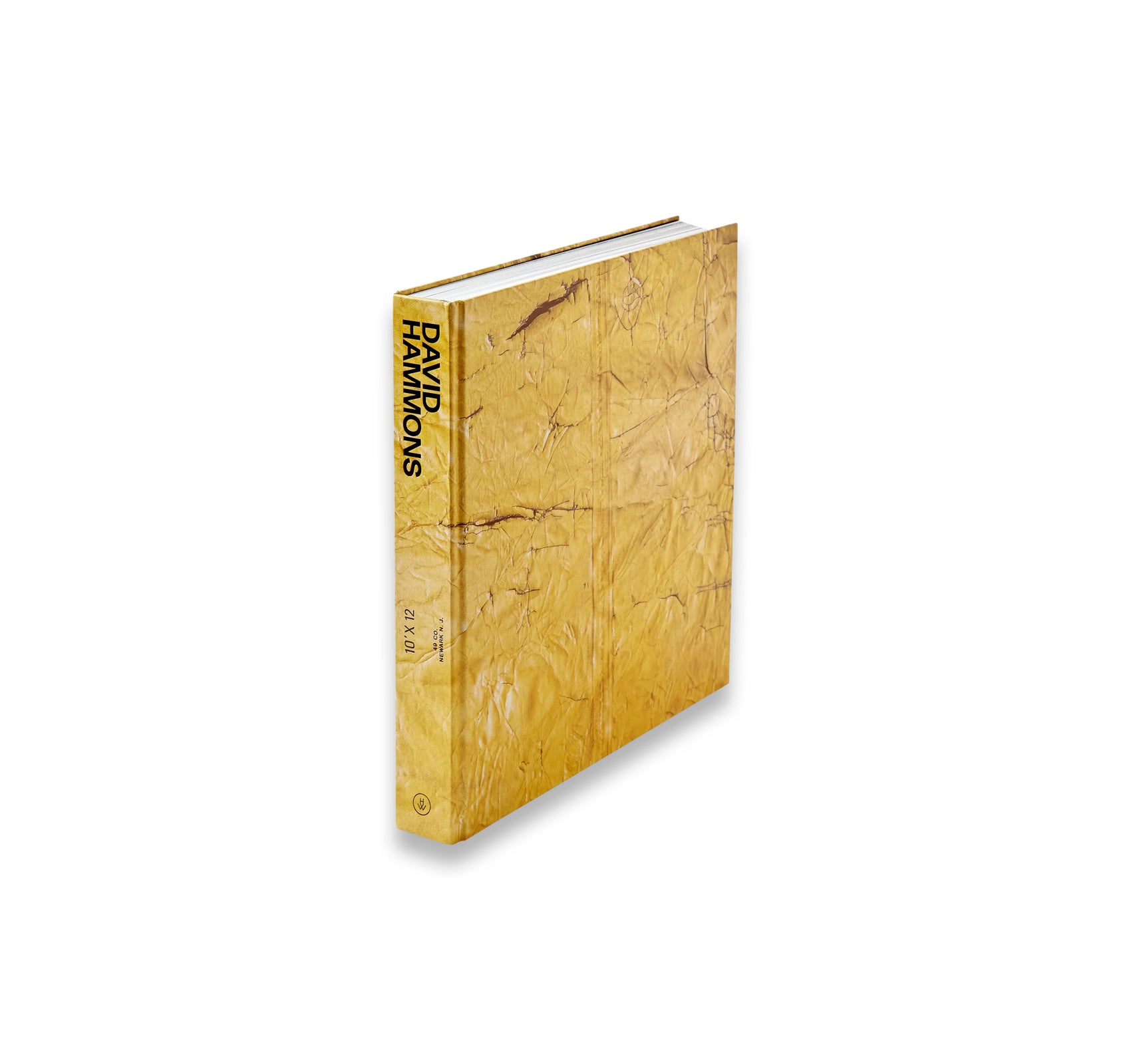 DAVID HAMMONS by David Hammons (HAUSER & WIRTH)