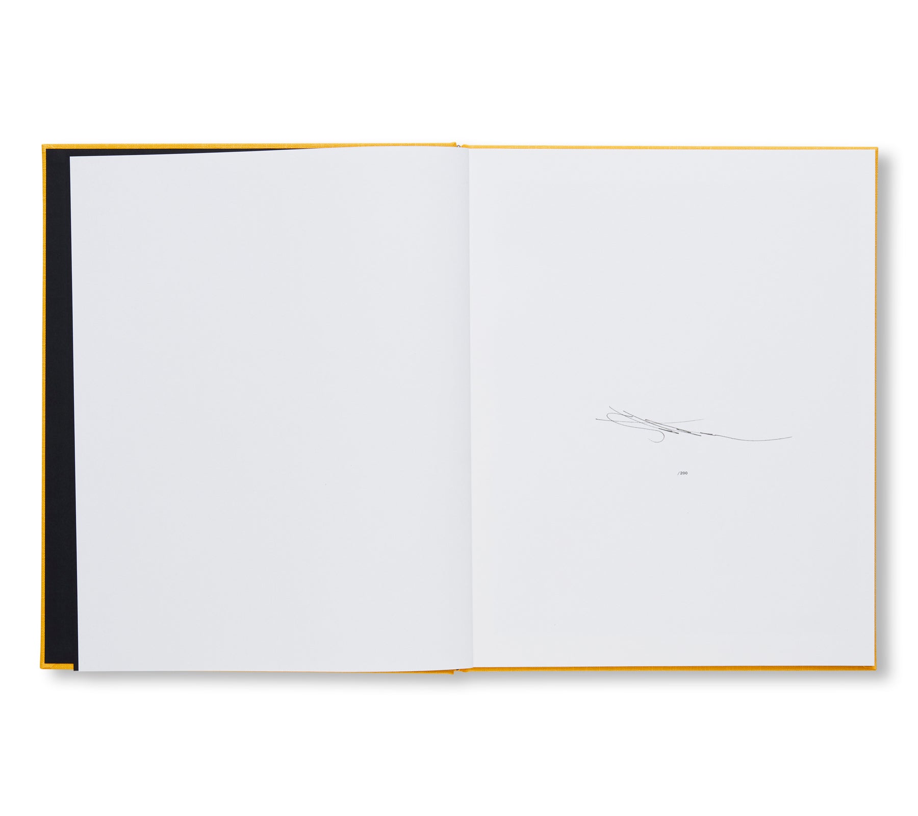 VERT by Sterling Ruby [SIGNED / NUMBERED]
