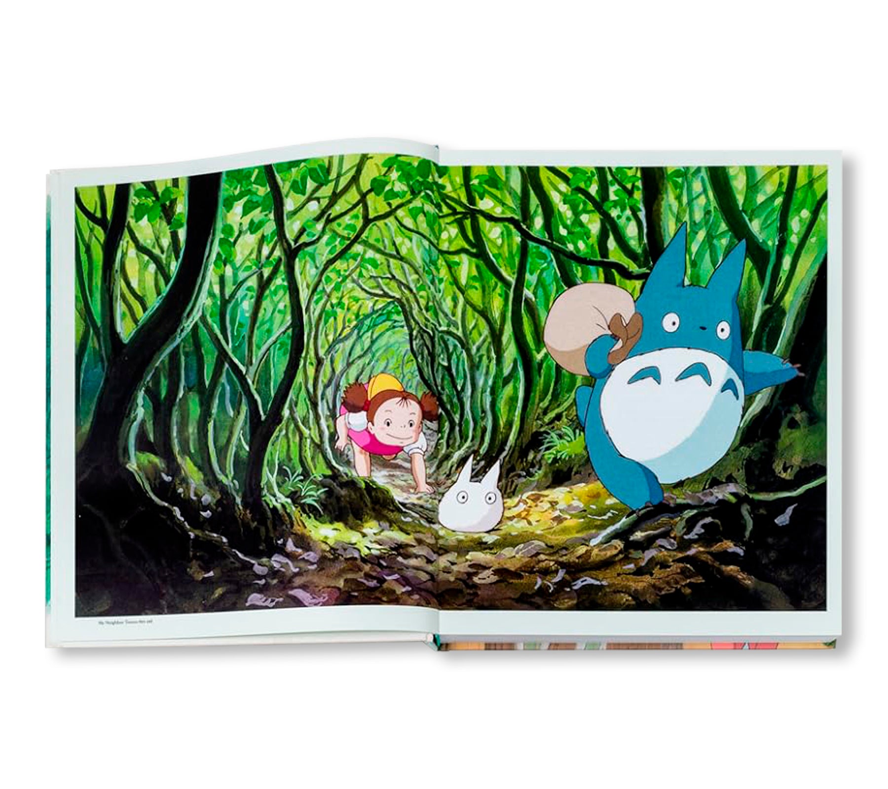 HAYAO MIYAZAKI by Hayao Miyazaki