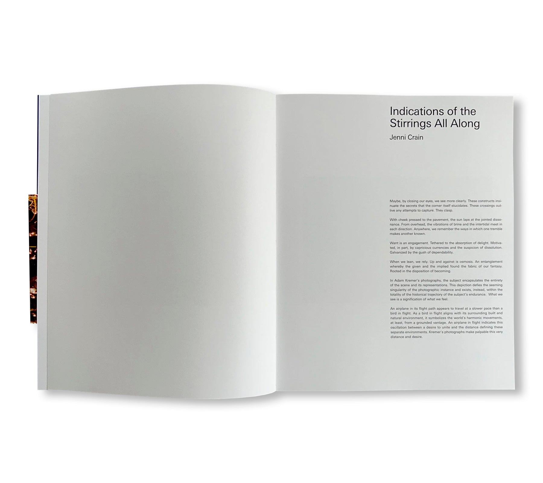 GATES TO THE GARDEN by Adam Kremer