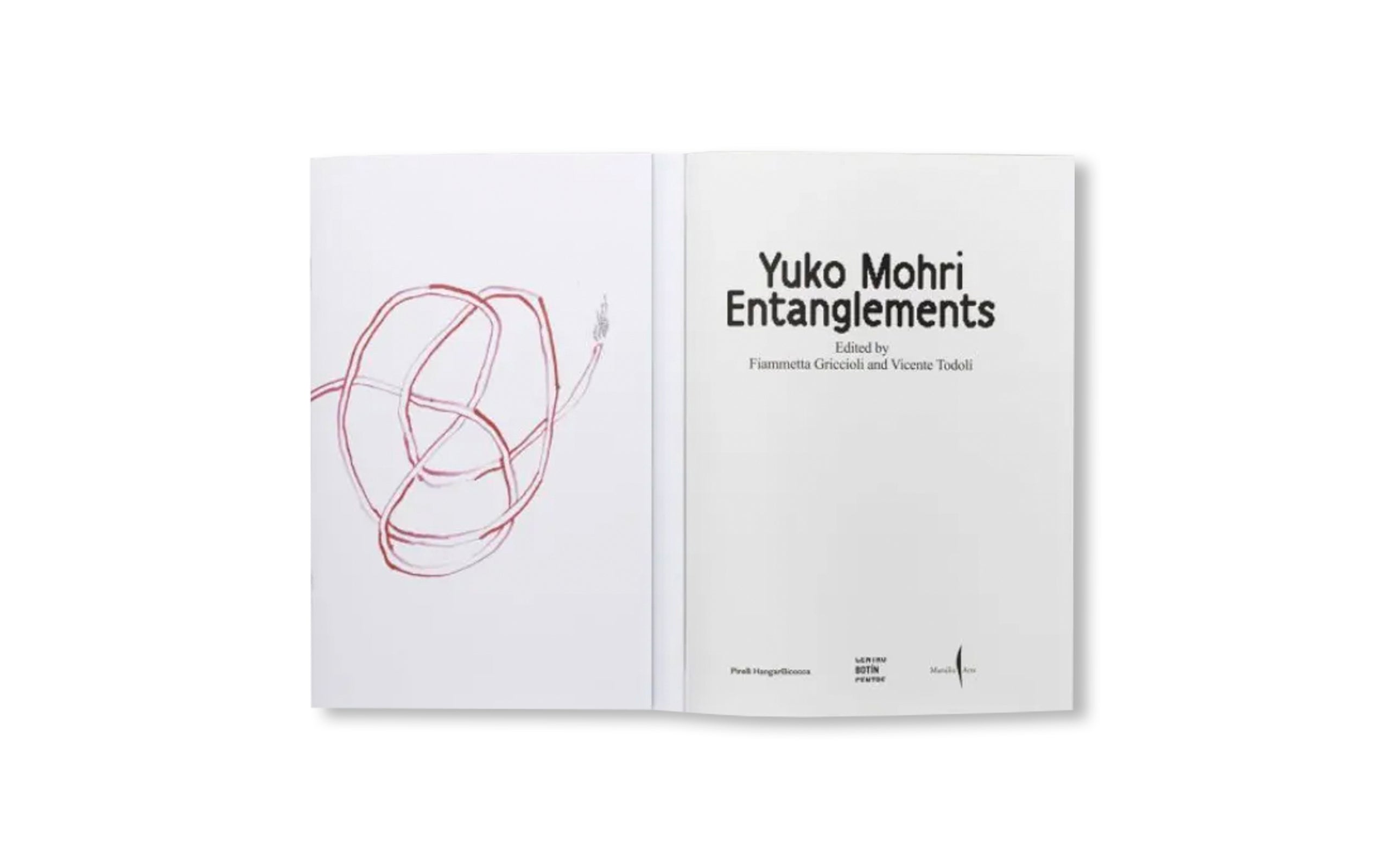 YUKO MOHRI: ENTANGLEMENTS by Yuko Mohri
