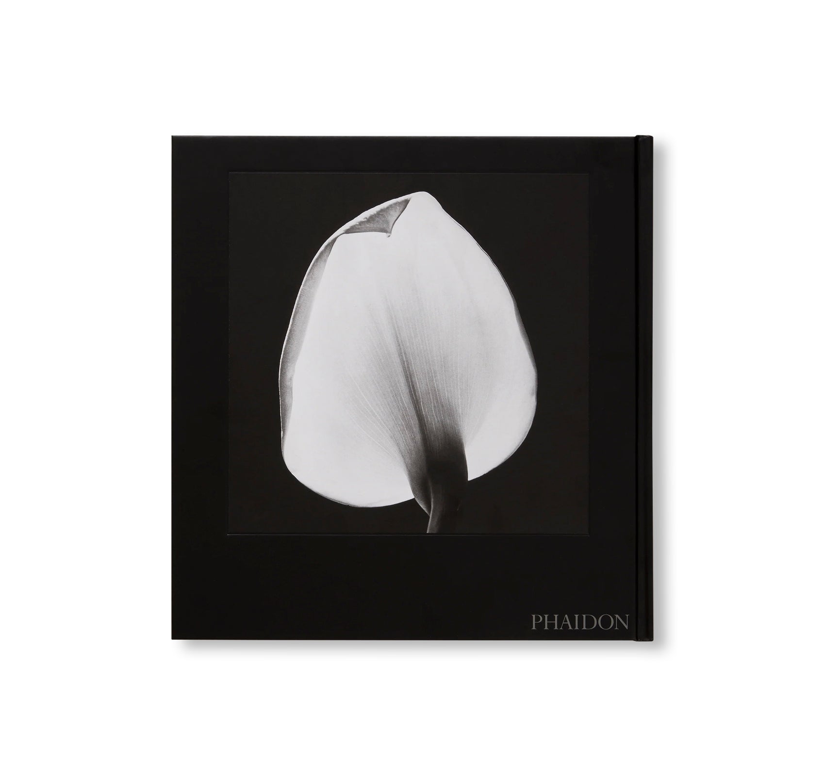 MAPPLETHORPE FLORA: THE COMPLETE FLOWERS by Robert Mapplethorpe