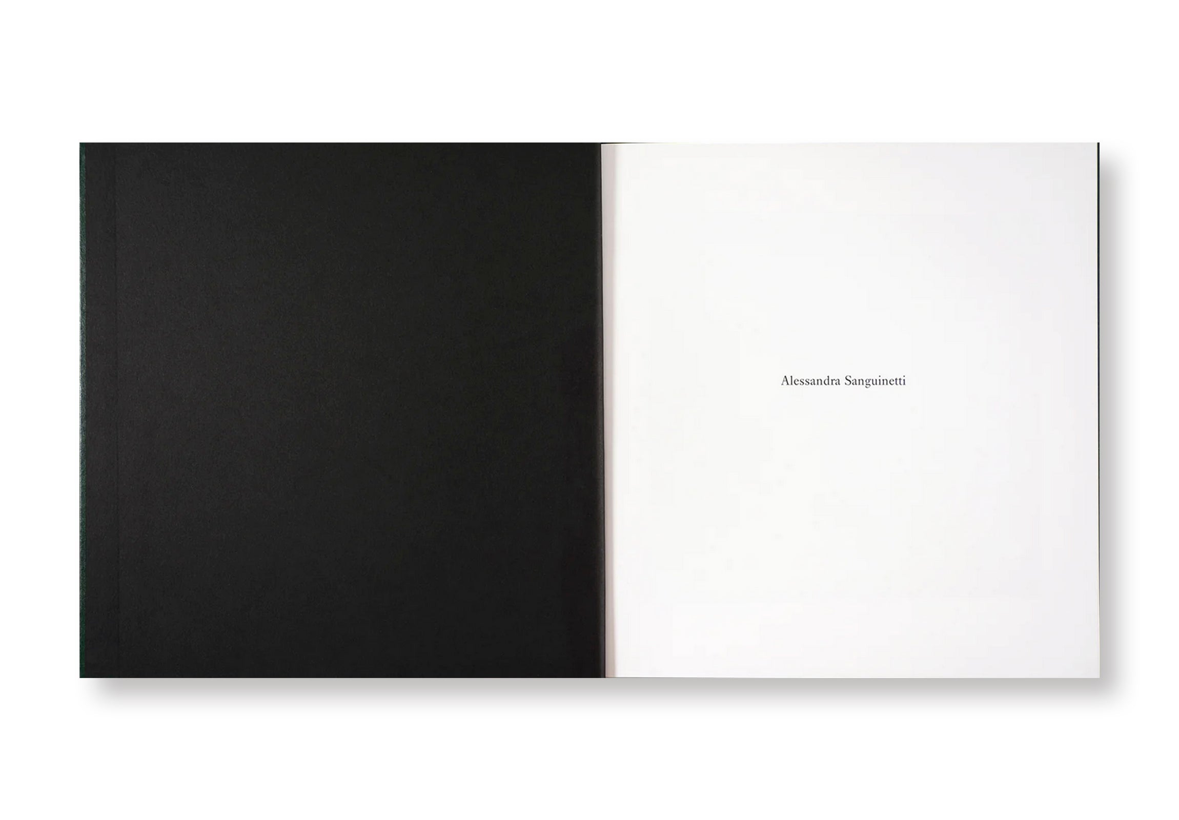 ON THE SIXTH DAY by Alessandra Sanguinetti  [SIGNED]