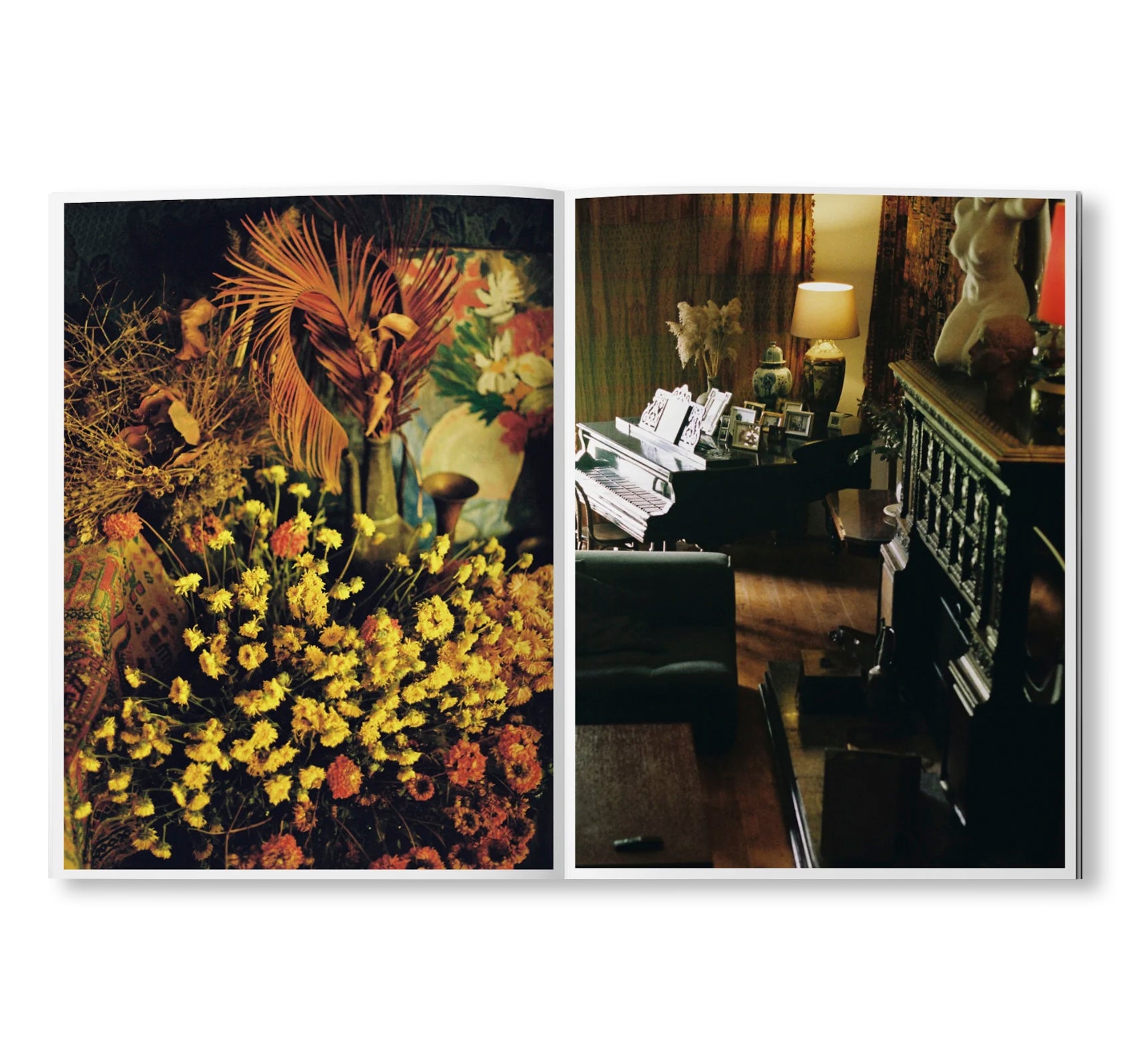 TBILISI INTERIORS by Anna Tsitsishvili