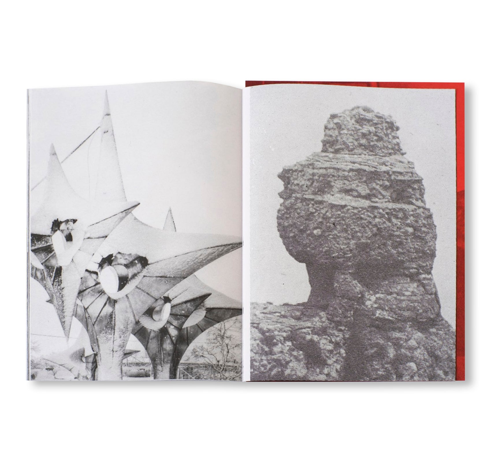 DUMITRU by Michel Mazzoni [SIGNED]