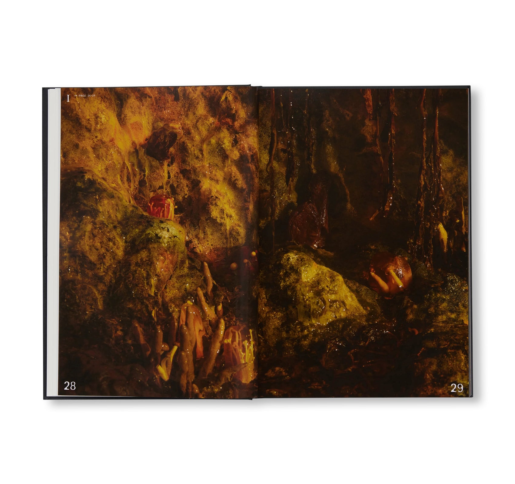 HORROR CAVIAR: A COOKBOOK by Justin J Wee [SECOND PRINTING]