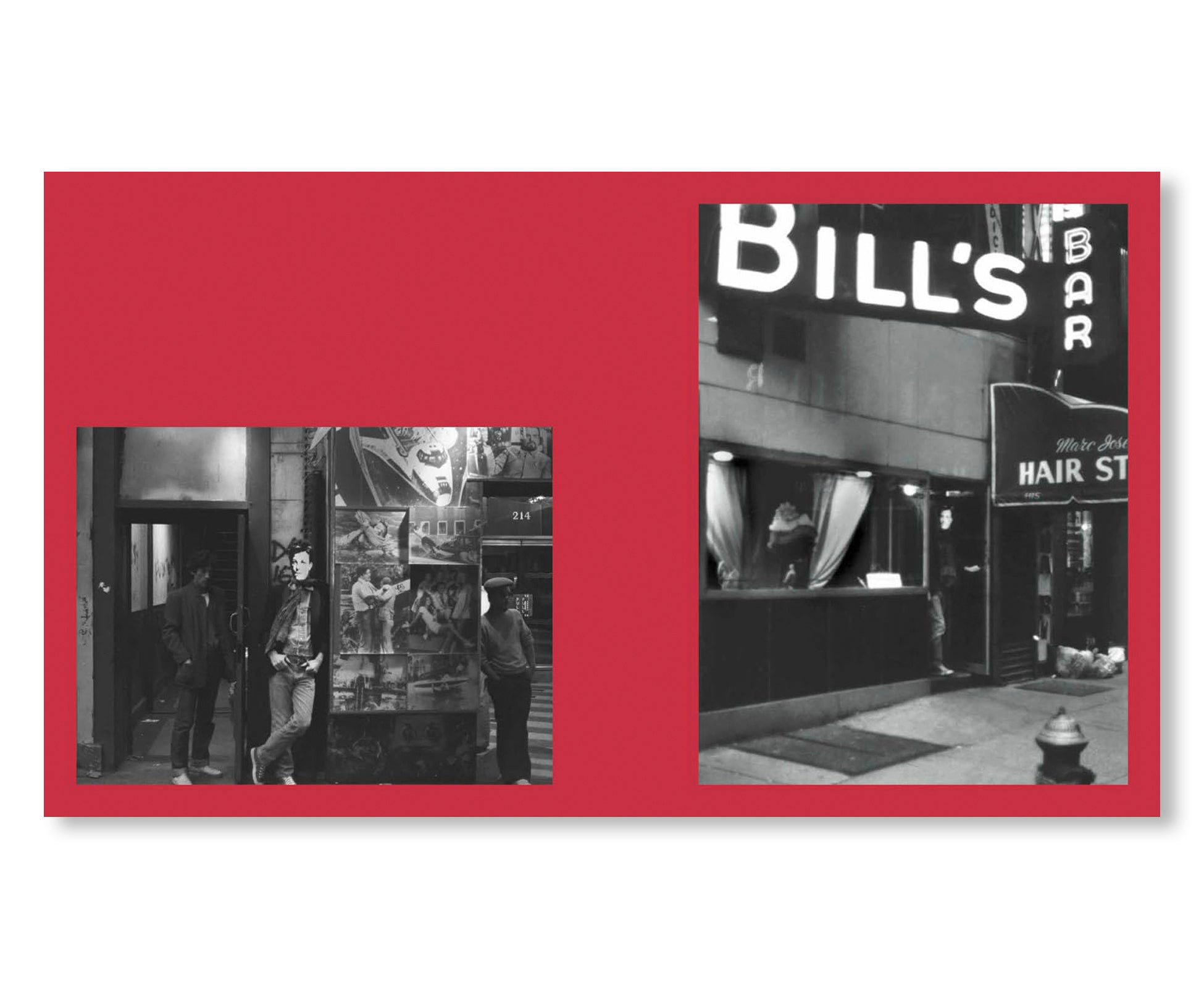 ARTHUR RIMBAUD IN NEW YORK by David Wojnarowicz