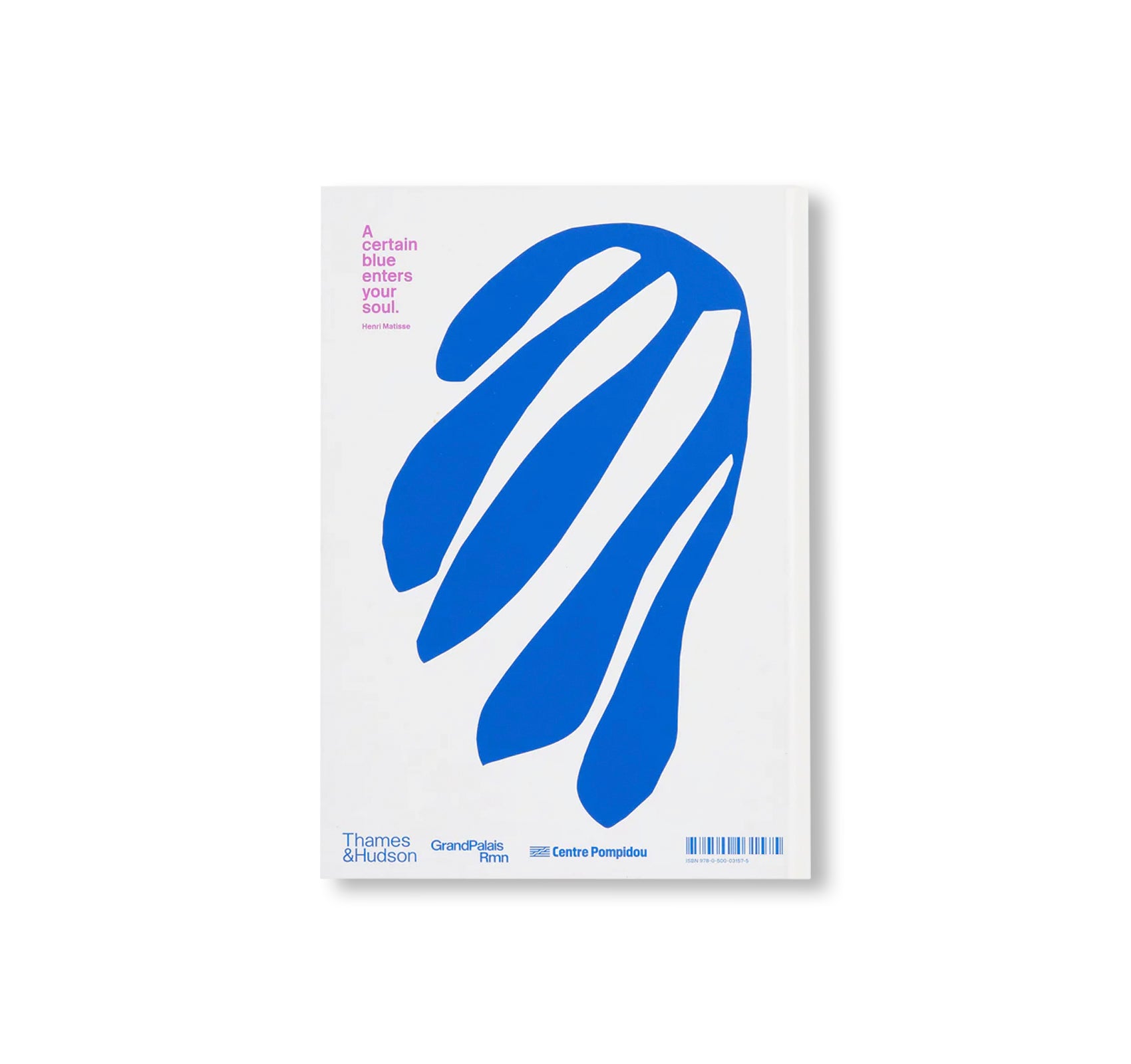 COLOUR UNBOUND: HENRI MATISSE 1941–1954 by Henri Matisse