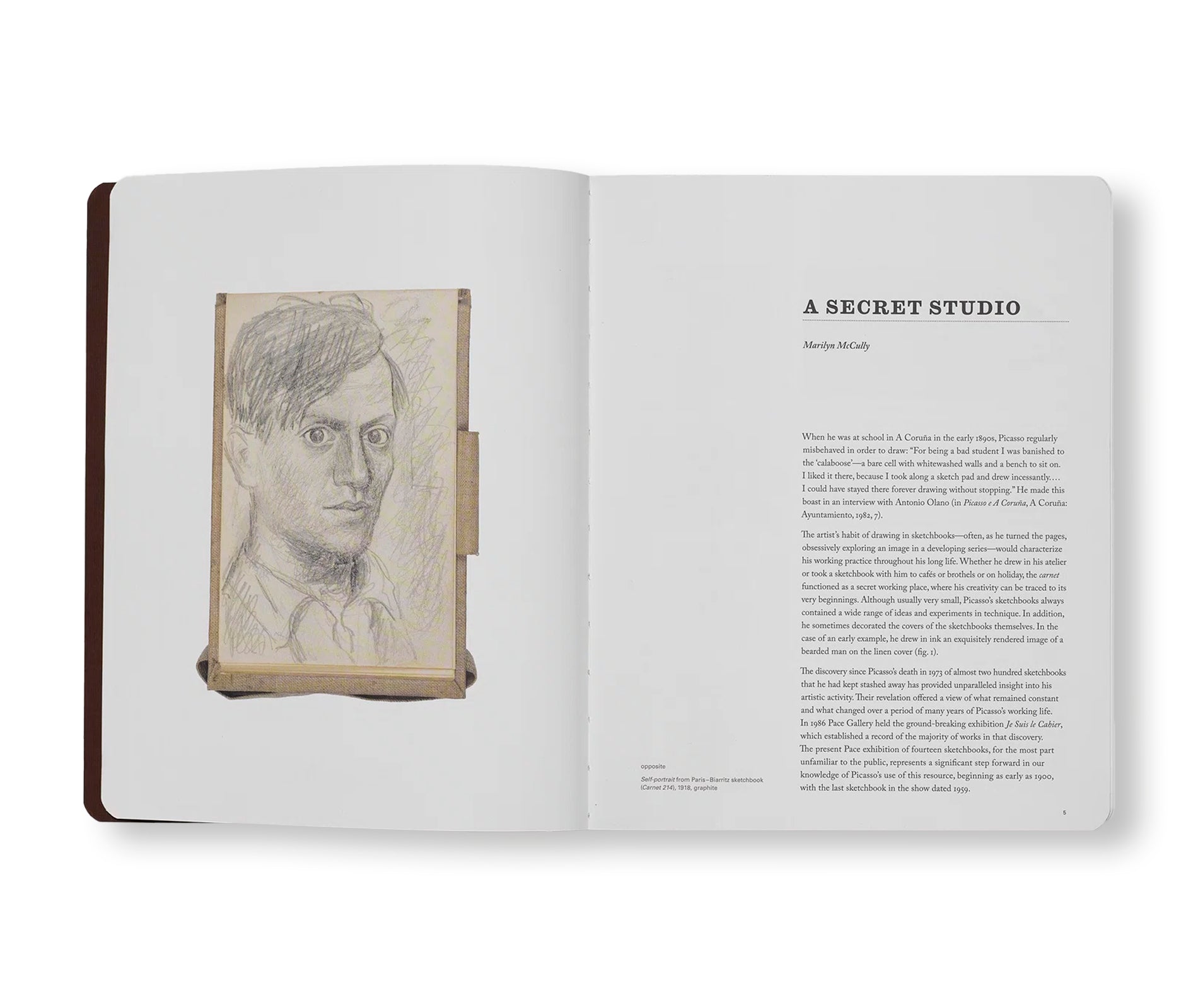 PICASSO: 14 SKETCHBOOKS by Pablo Picasso