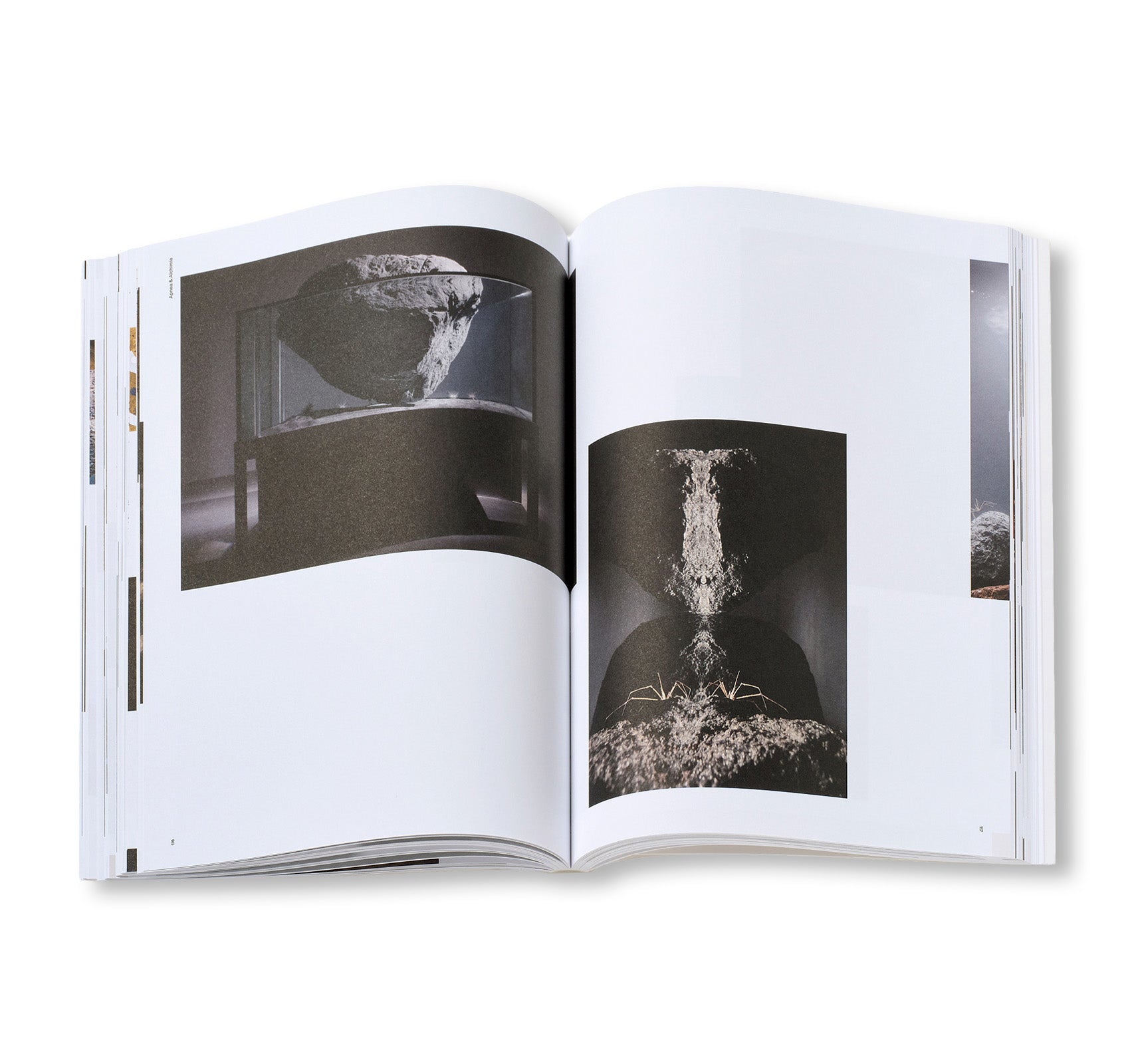 PIERRE HUYGHE by Pierre Huyghe (HATJE CANTZ)