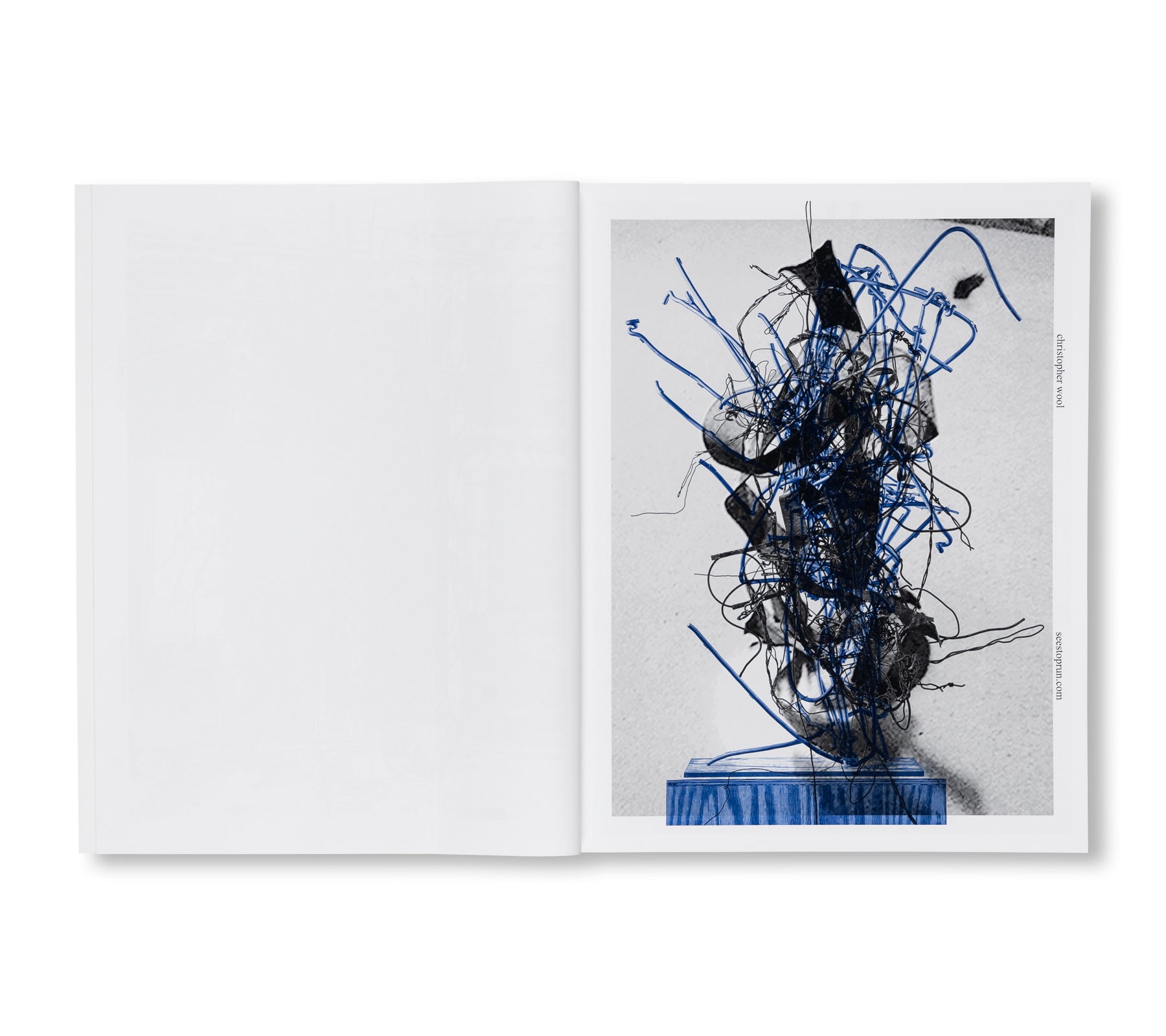 SEE STOP RUN by Christopher Wool