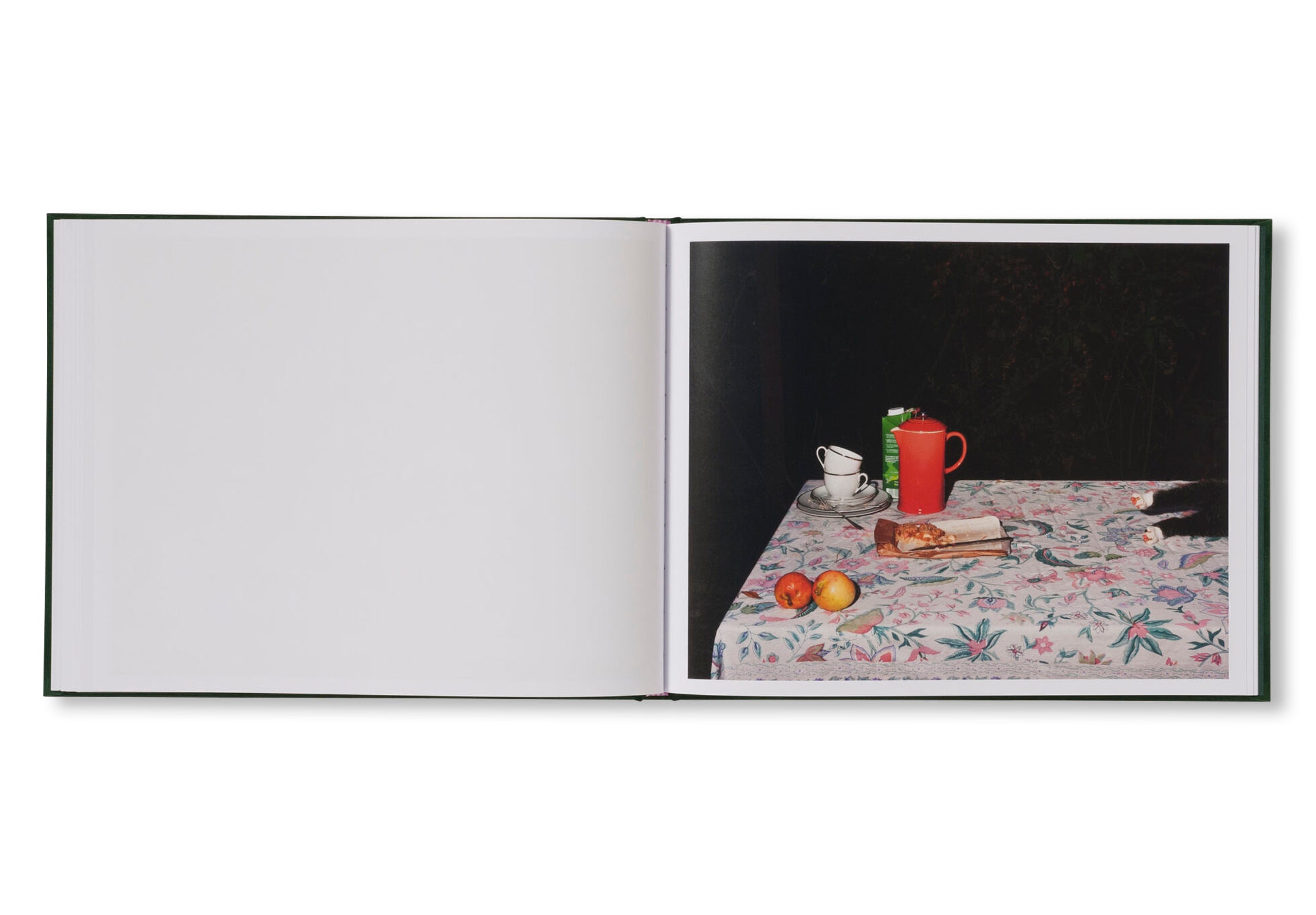 PLATES I-XXXI by Lia Darjes