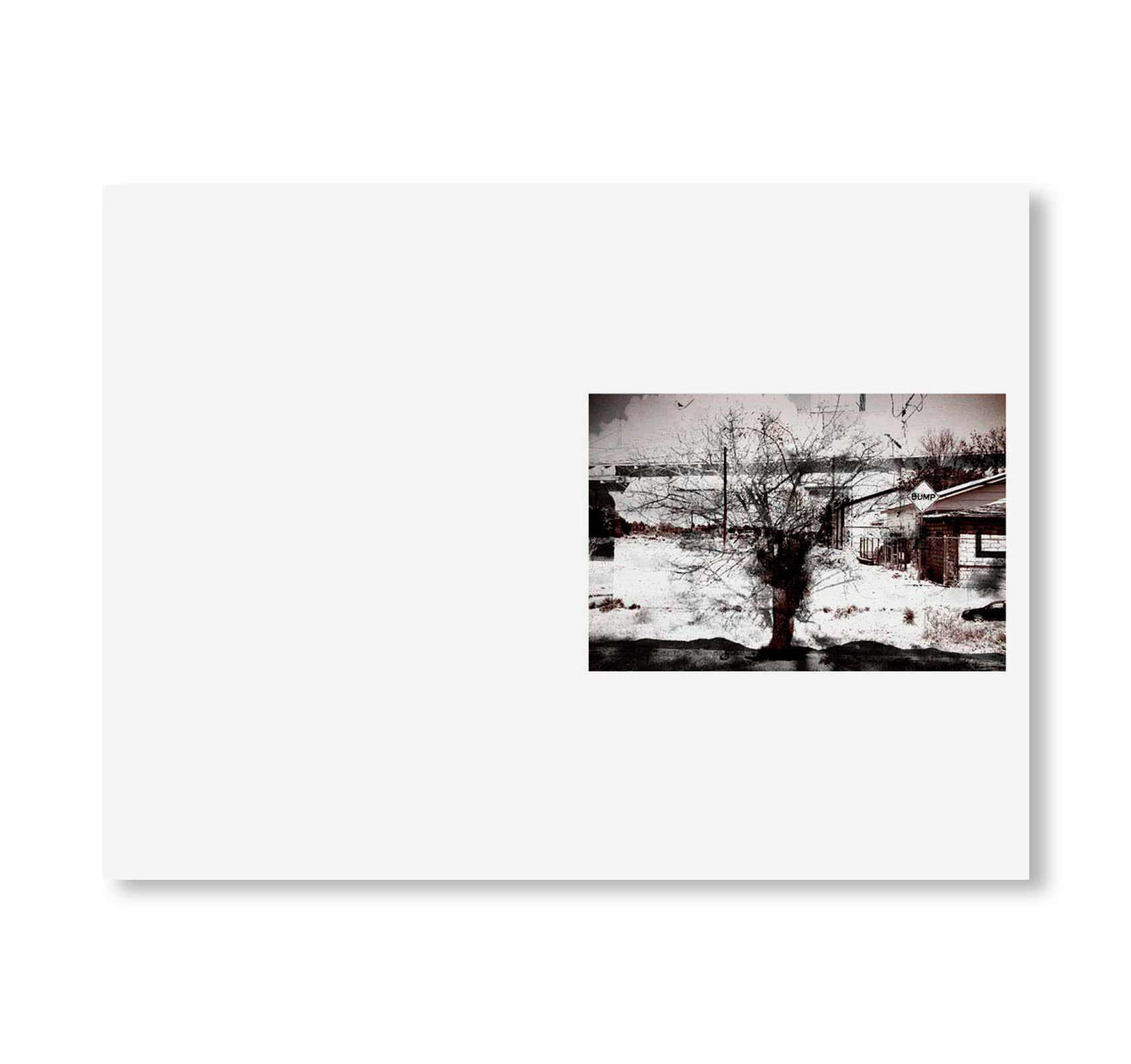 SWAMP by Christopher Wool [SIGNED]