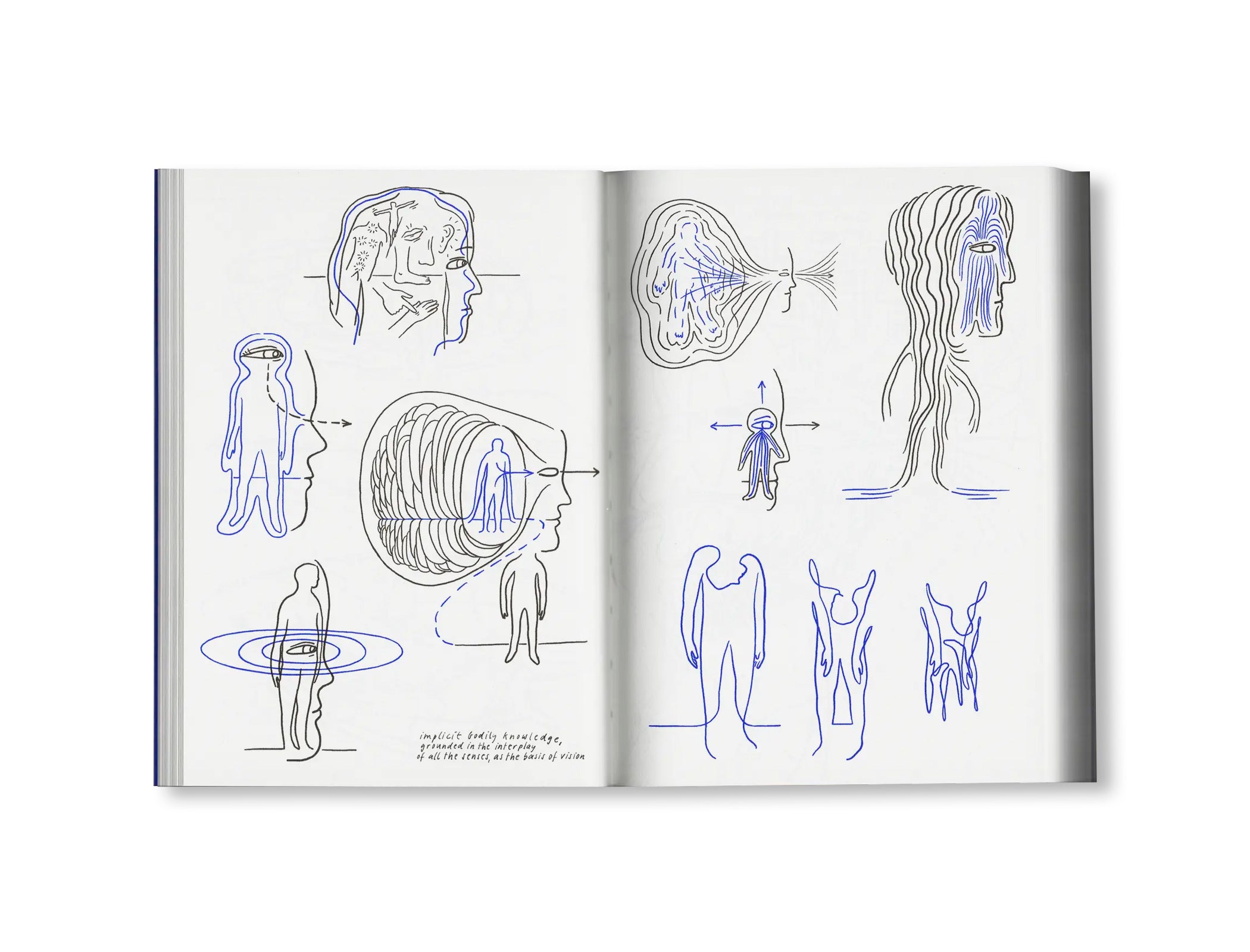 LOOK! - A VISUAL PHILOSOPHY OF SEEING by Mone Schliephack
