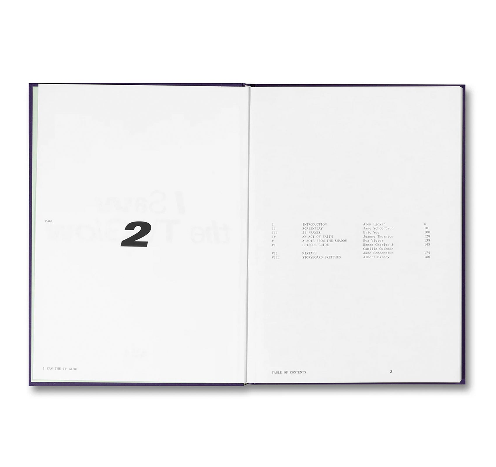 I SAW THE TV GLOW SCREENPLAY BOOK by Jane Schoenbrun
