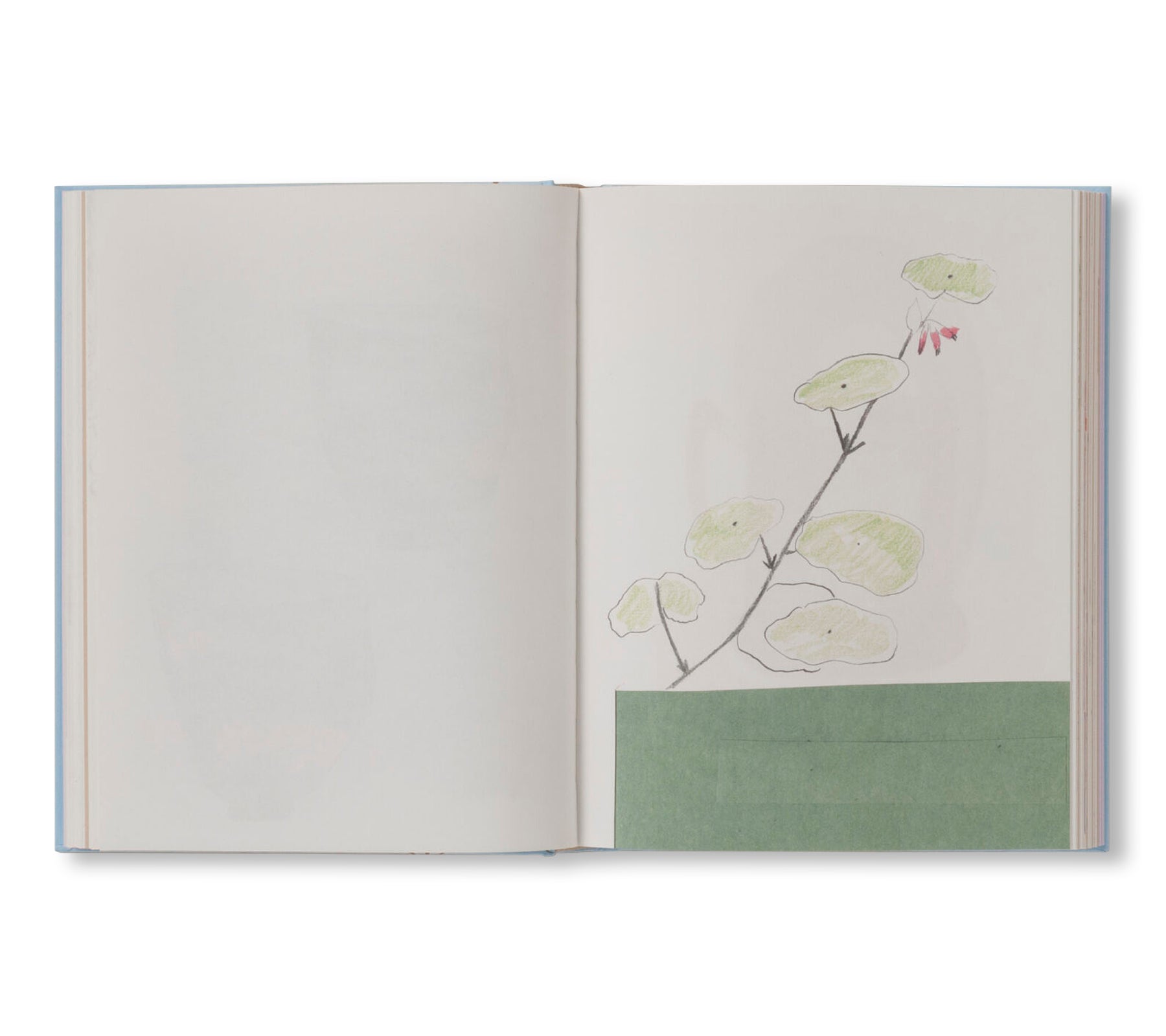 CARNETS by Johanna Tagada