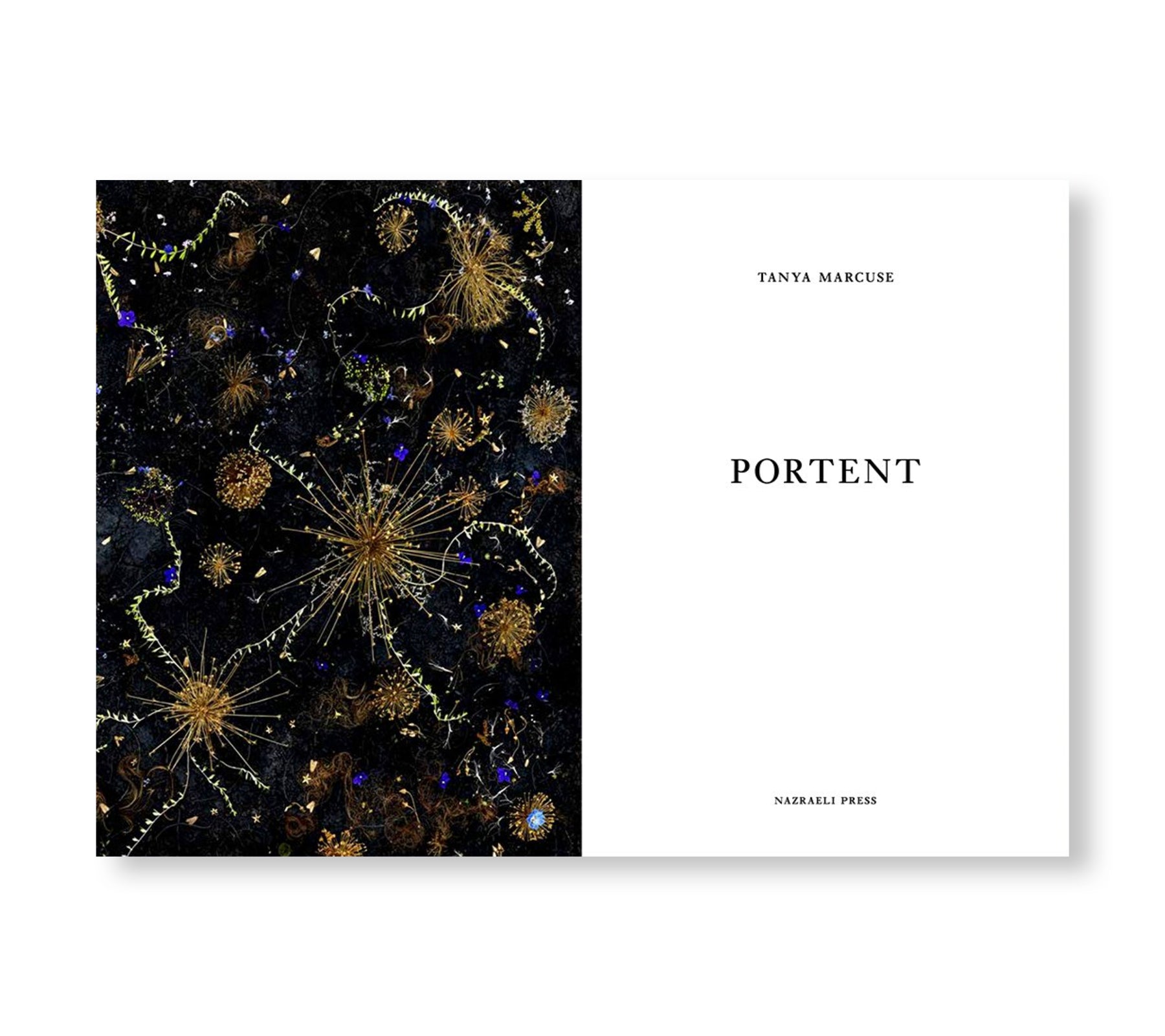 ONE PICTURE BOOK TWO #37: PORTENT by Tanya Marcuse