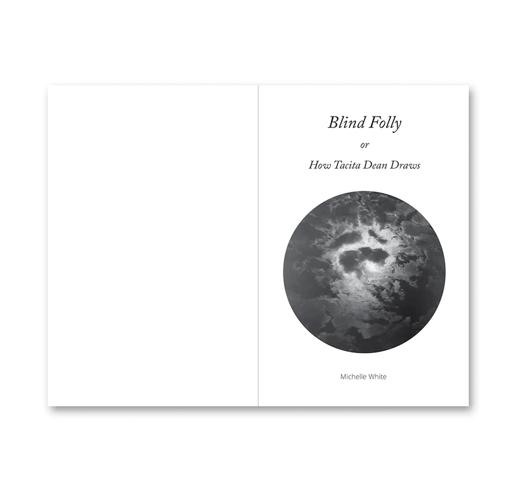 BLIND FOLLY OR HOW TACITA DEAN DRAWS by Michelle White, Tacita Dean