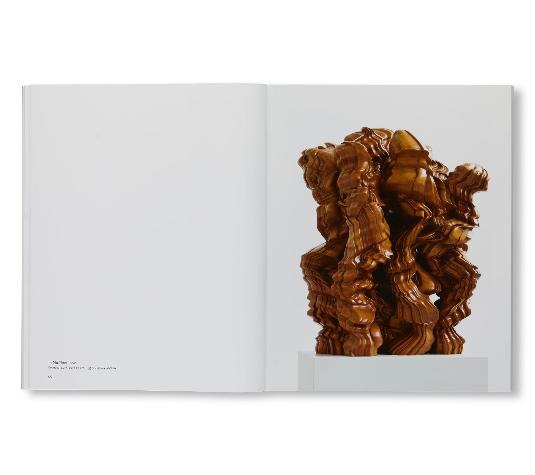 SCULPTURES AND WORKS ON PAPER by Tony Cragg