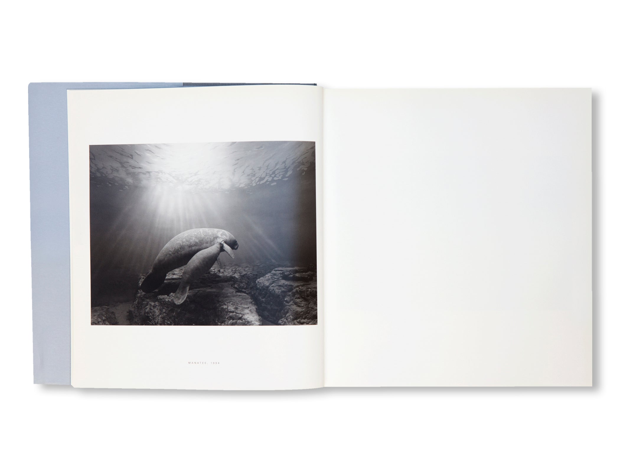 DIORAMAS by Hiroshi Sugimoto