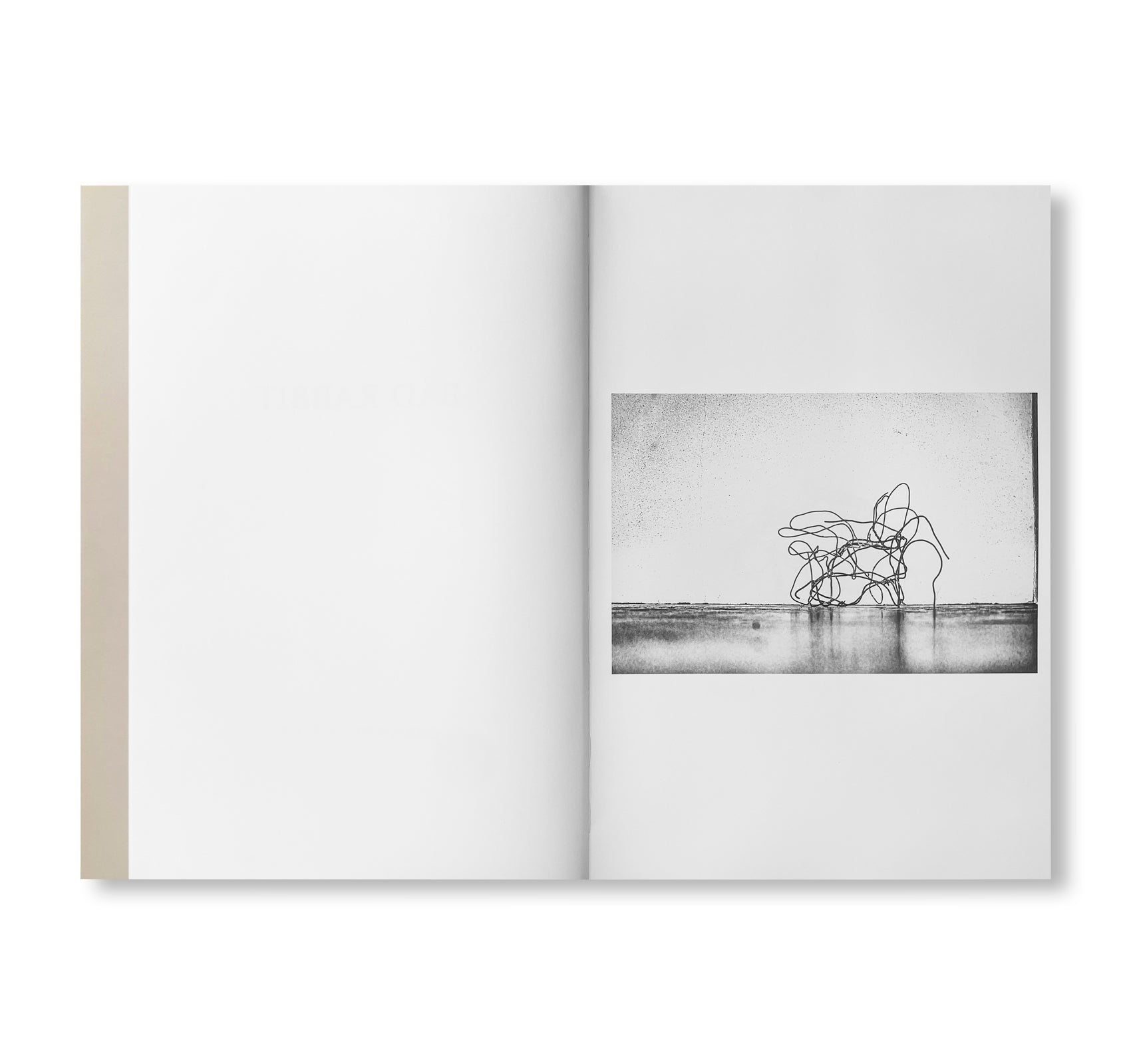 BAD RABBIT by Christopher Wool [SIGNED]