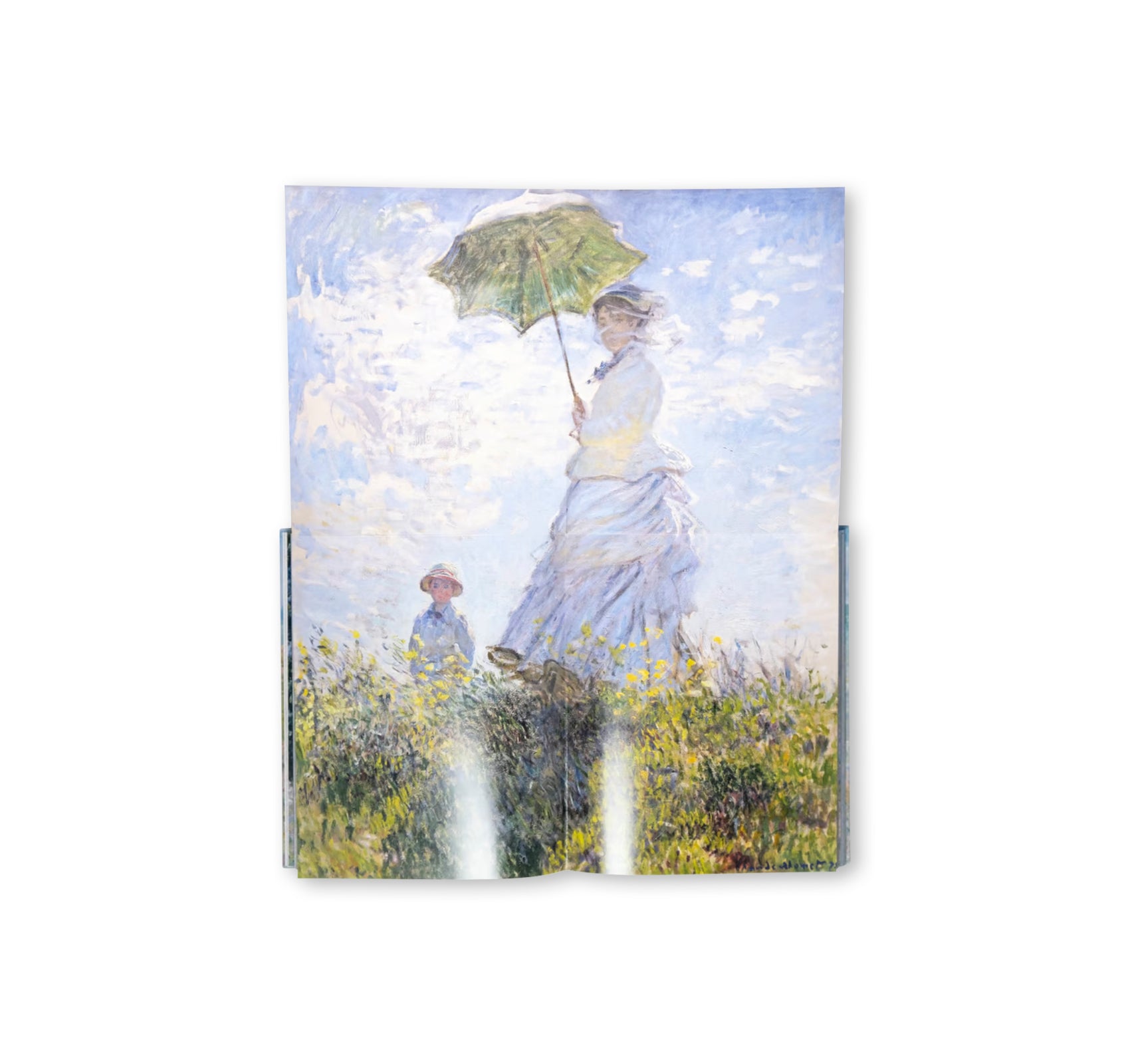 MONET - THE BIGGER PICTURE by Anne Sefrioui