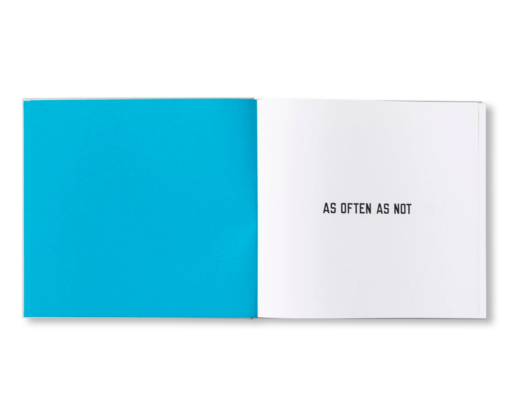 LAWRENCE WEINER: AS OFTEN AS NOT by Lawrence Weiner