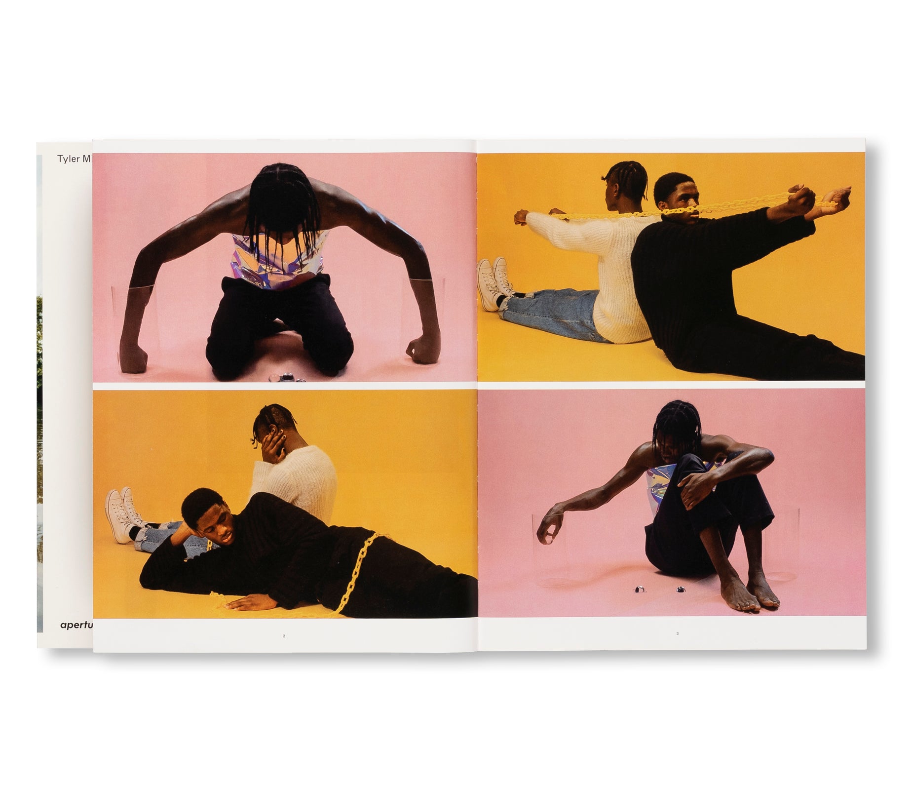 WISH THIS WAS REAL by Tyler Mitchell