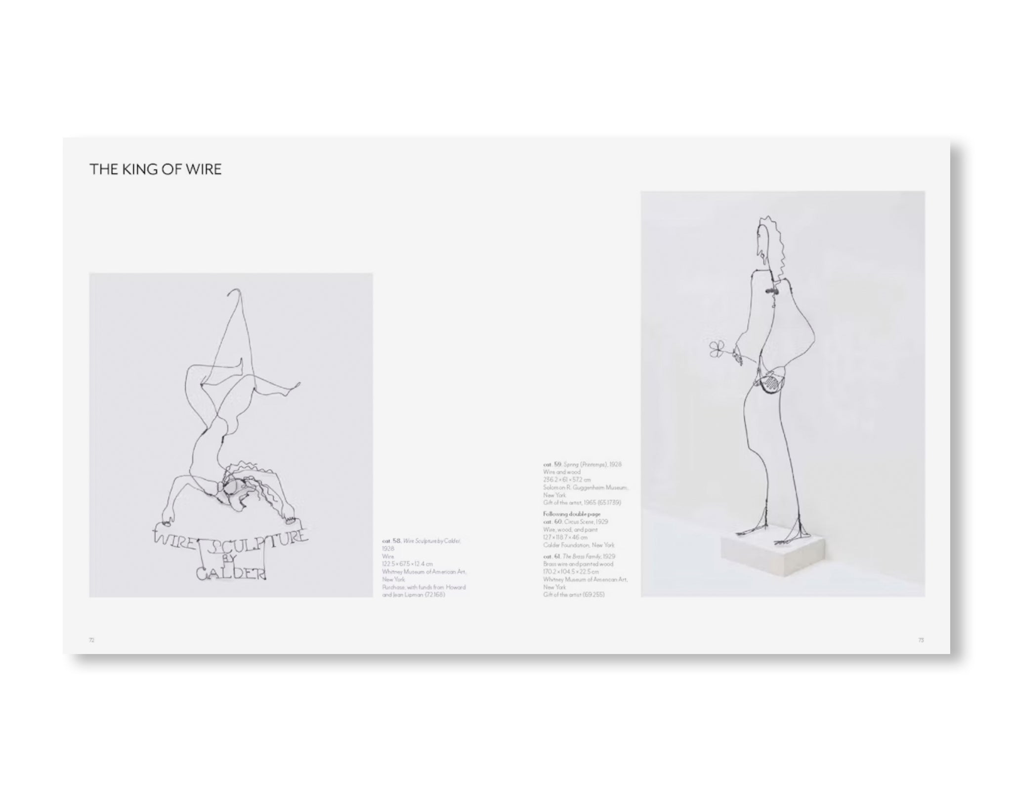 CALDER: DREAMING IN EQUILIBRIUM by Alexander Calder