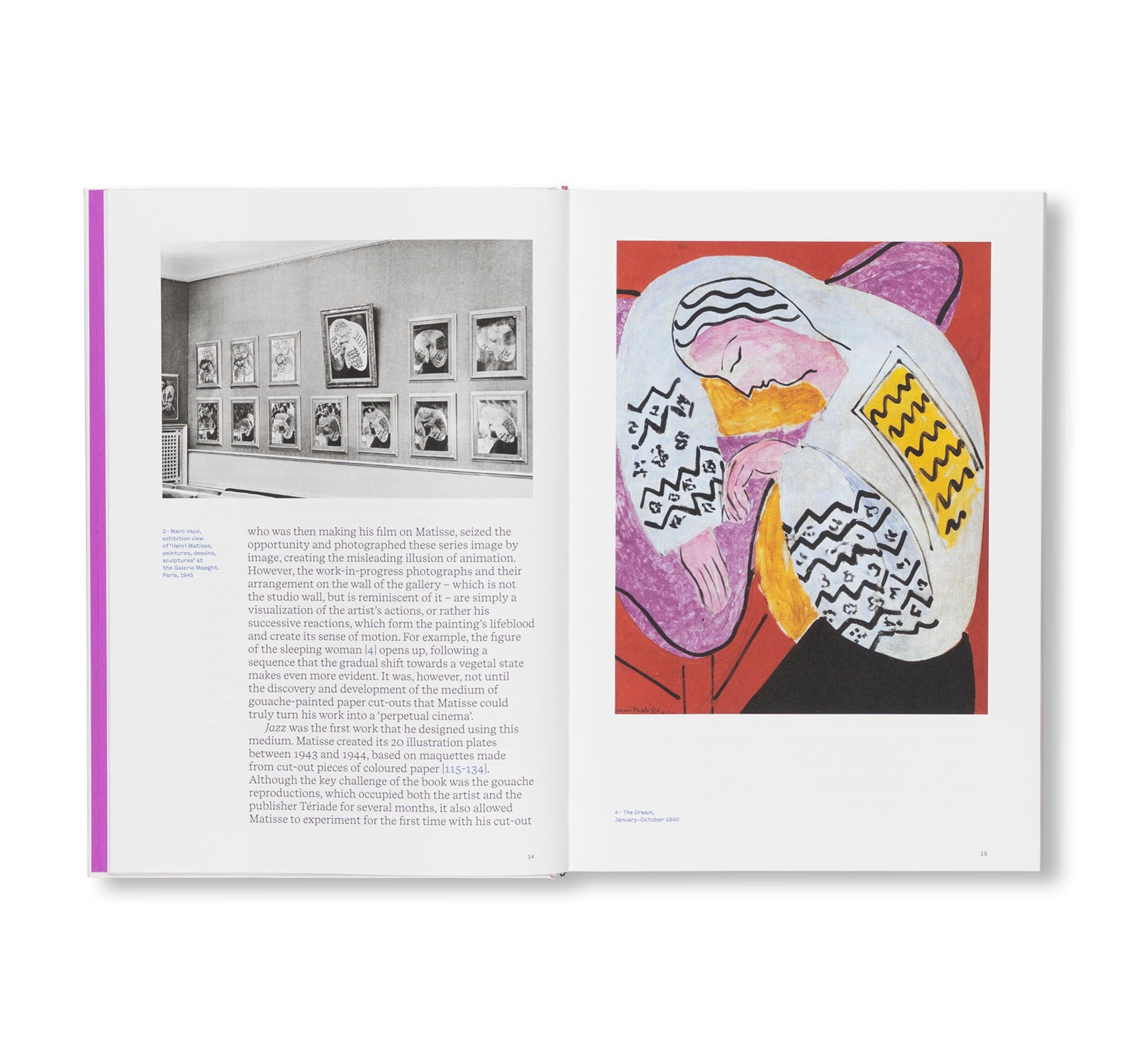 COLOUR UNBOUND: HENRI MATISSE 1941–1954 by Henri Matisse