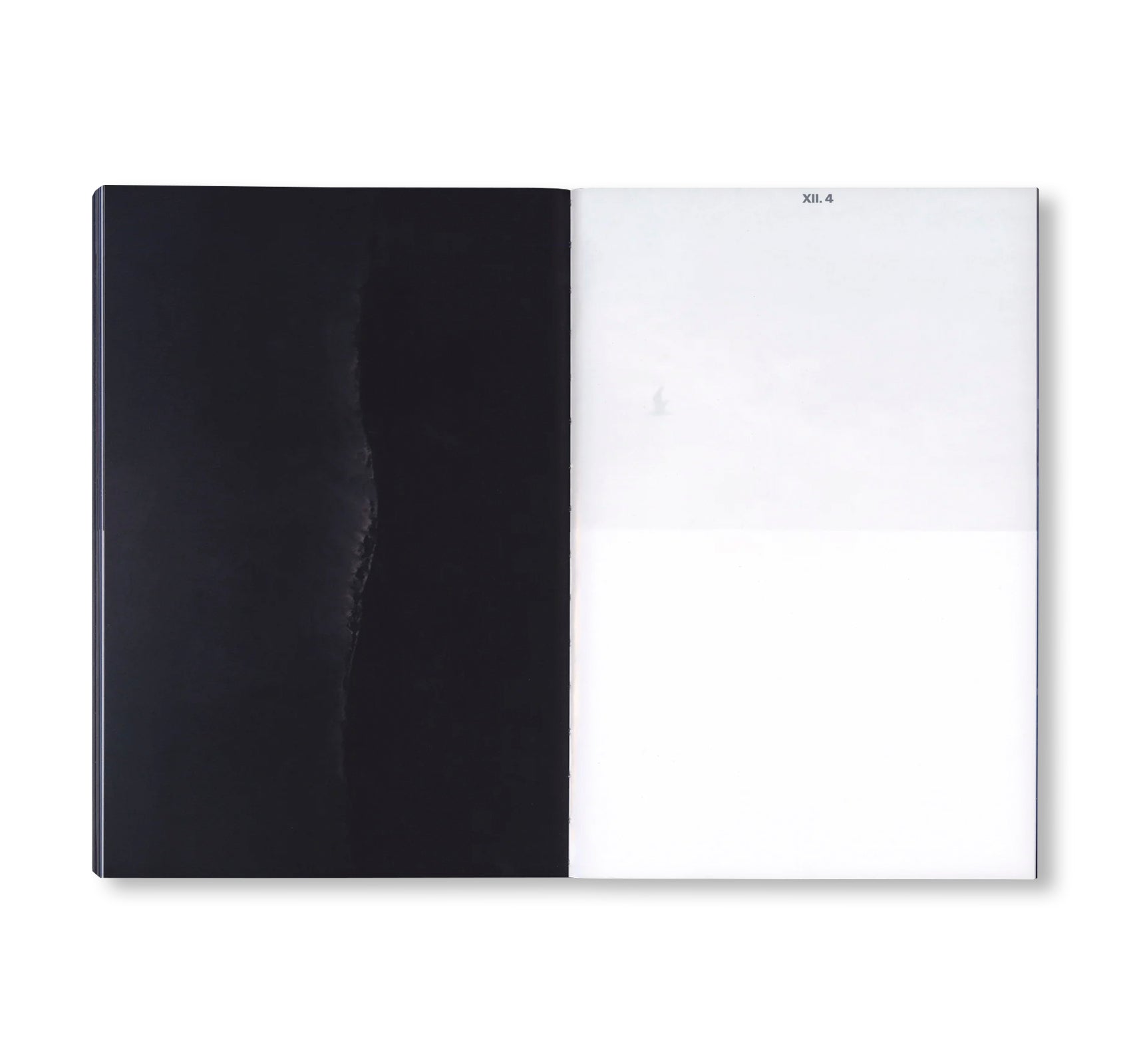 SEQUENCES by Yuichiro Noda