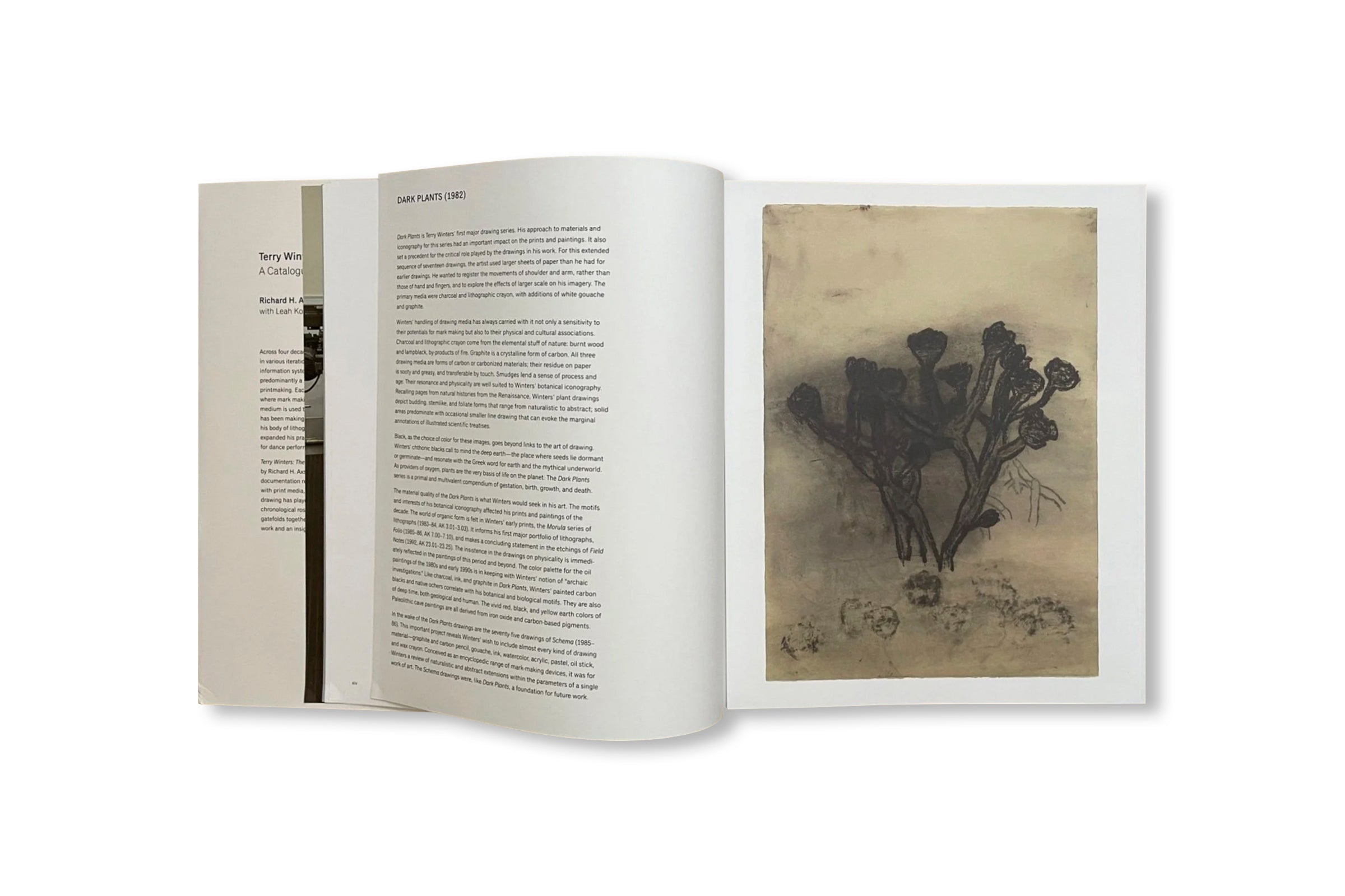 TERRY WINTERS: THE PRINTED WORK, A CATALOGUE RAISONNÉ by Terry Winters