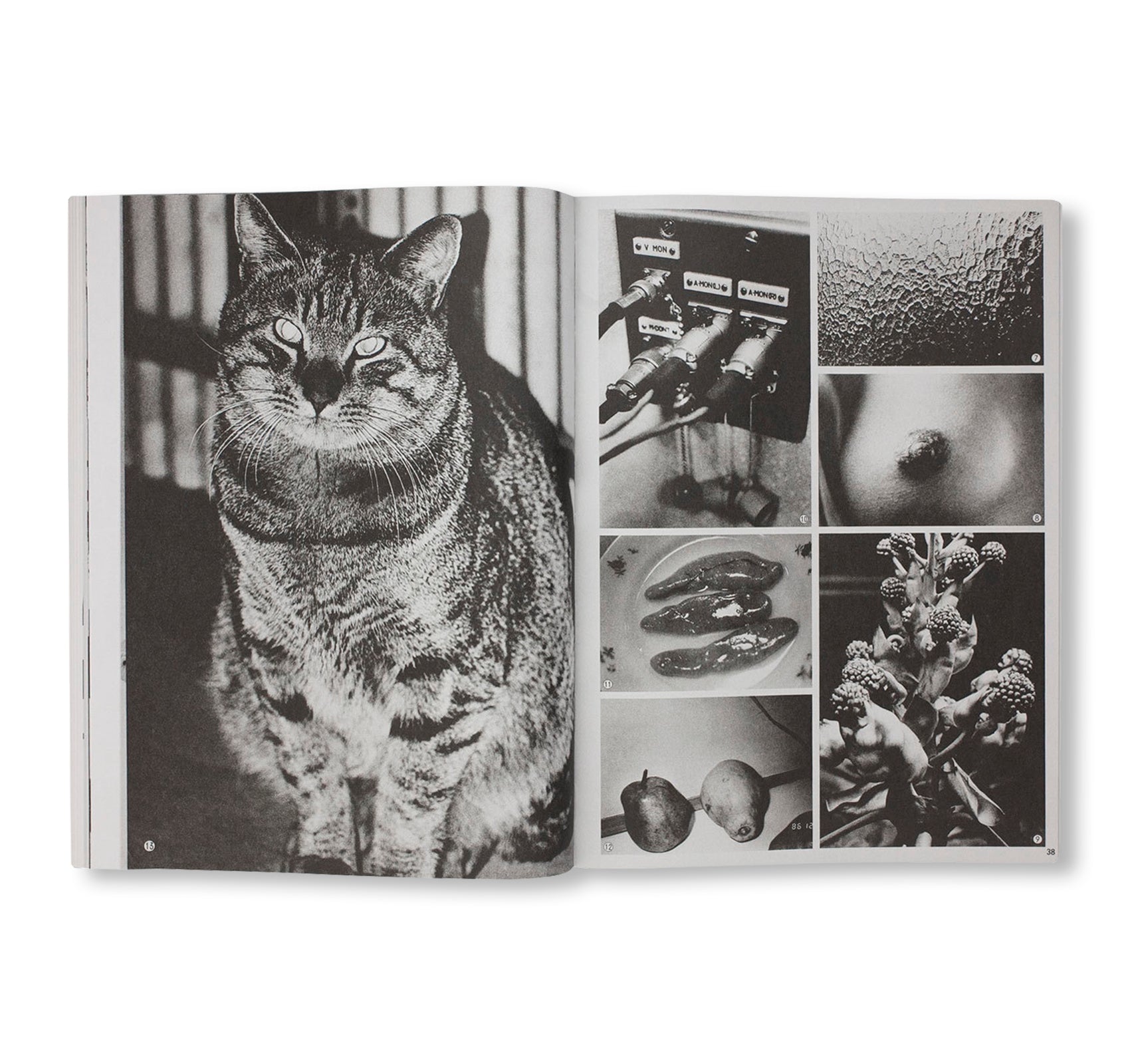 DAIDO MORIYAMA SHASHIN JIDAI 1981–1988 by Daido Moriyama